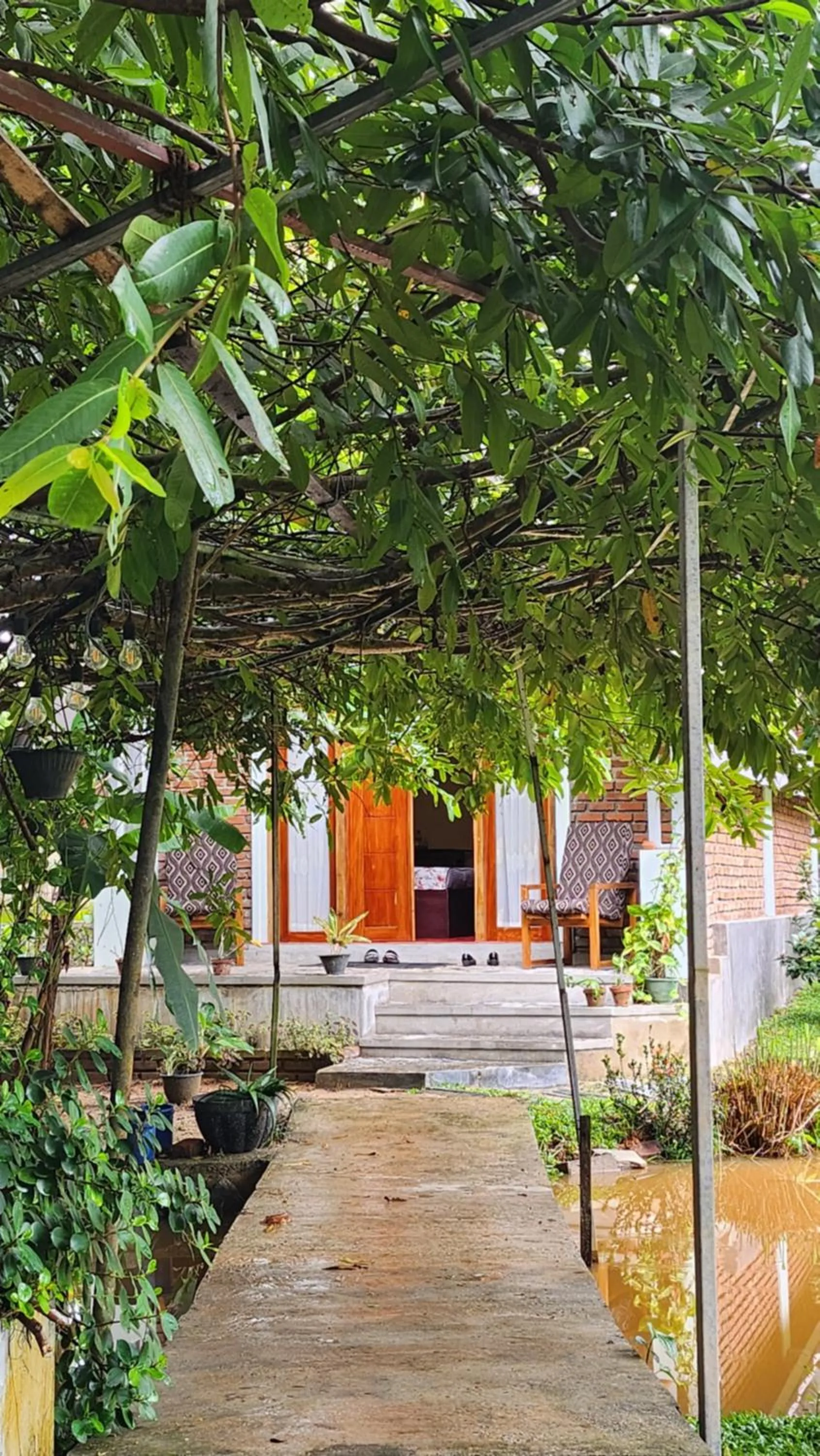 Garden view in Steps Garden Resort