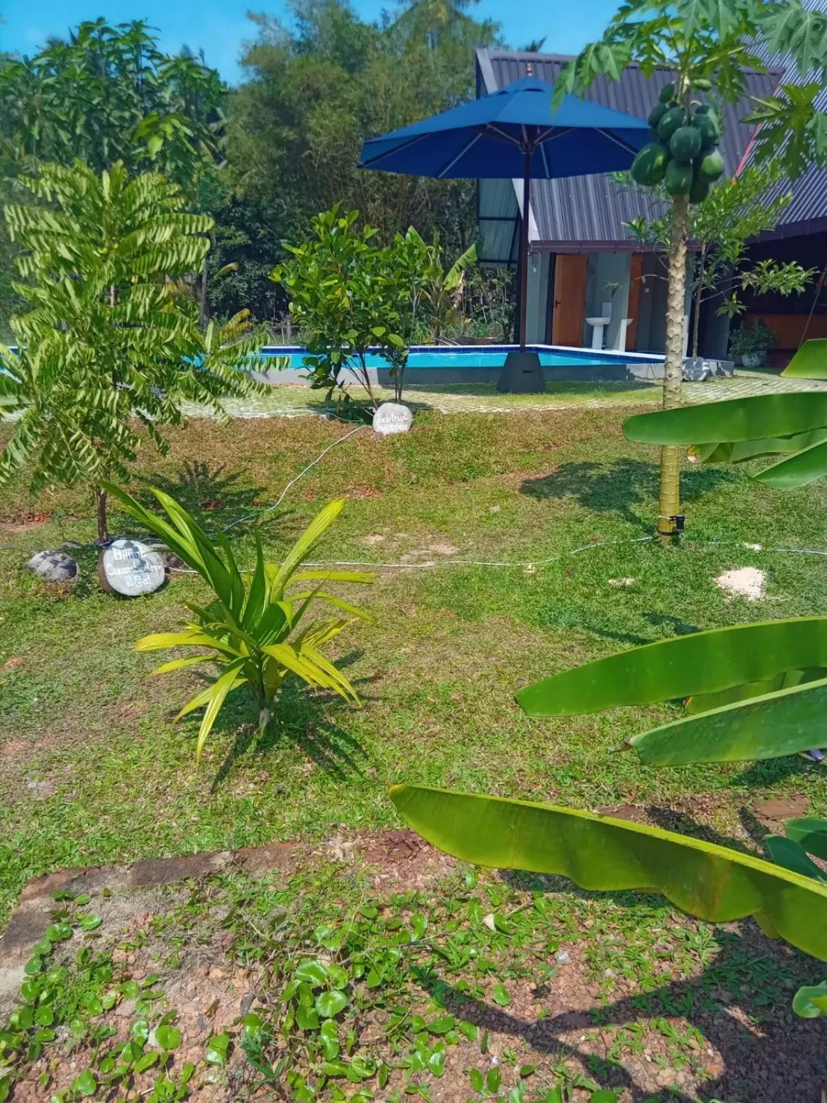 Natural landscape in Steps Garden Resort