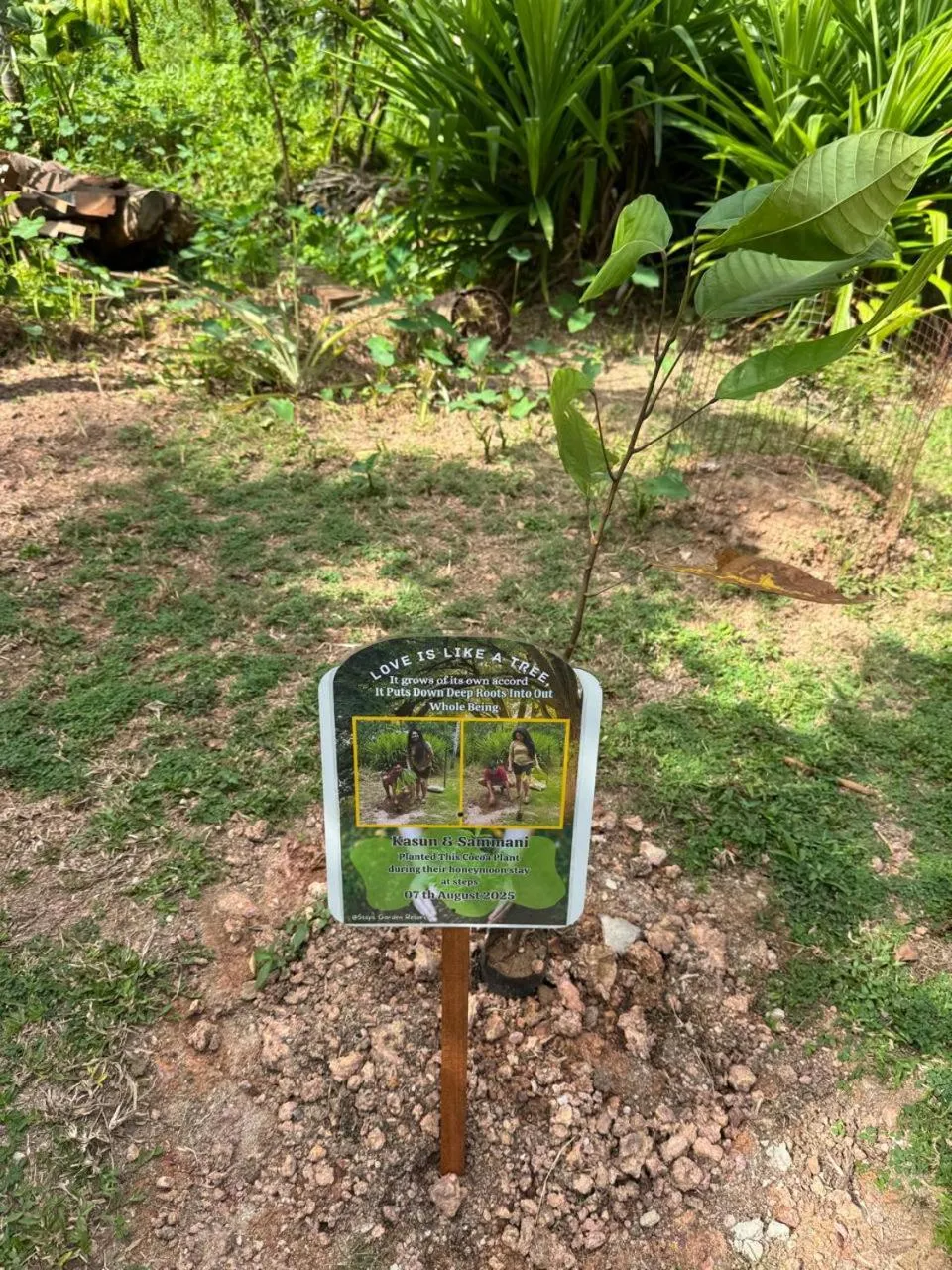 Garden in Steps Garden Resort