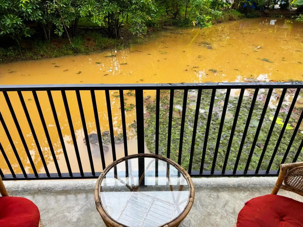 Natural landscape in Steps Garden Resort