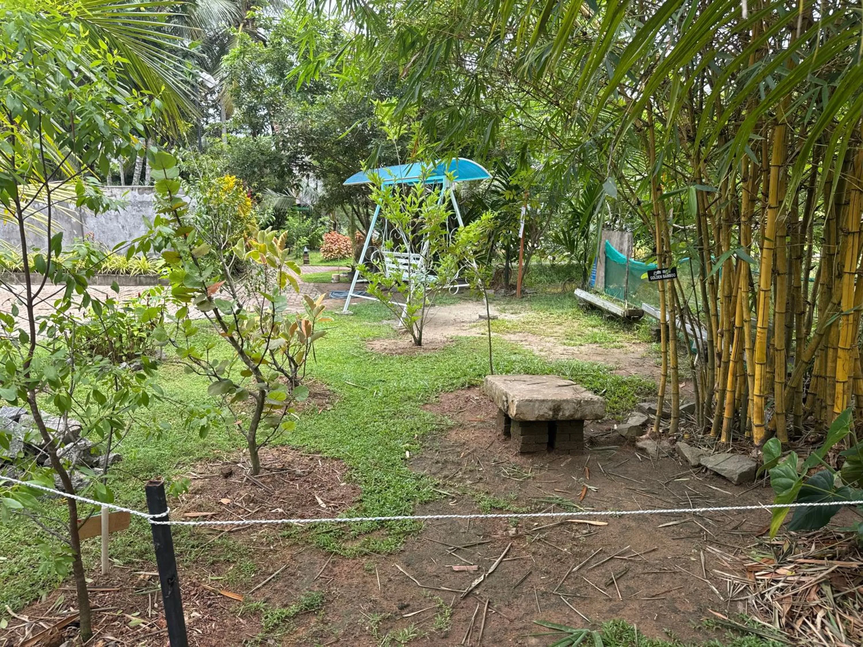 Natural landscape in Steps Garden Resort