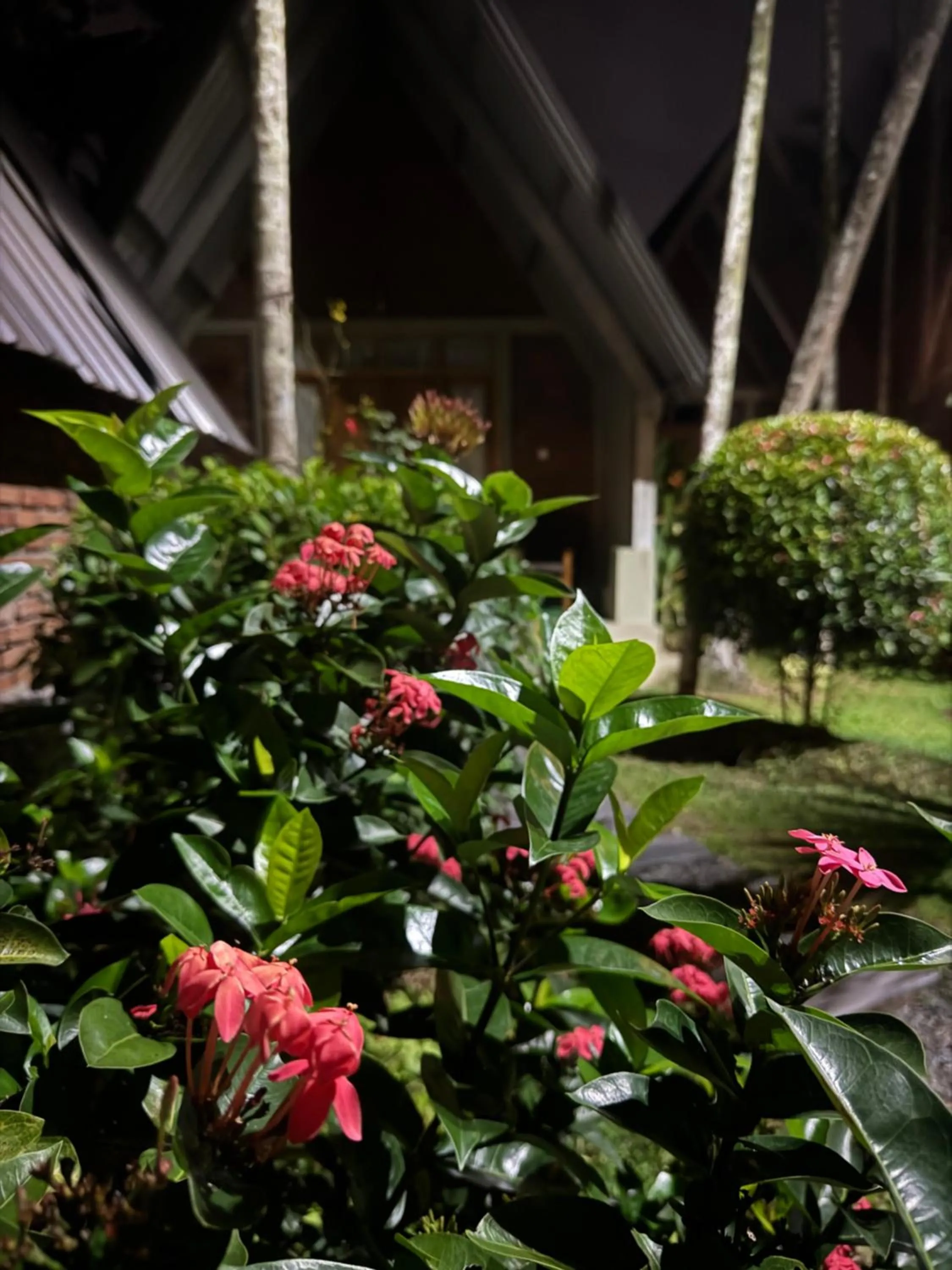 Garden in Steps Garden Resort