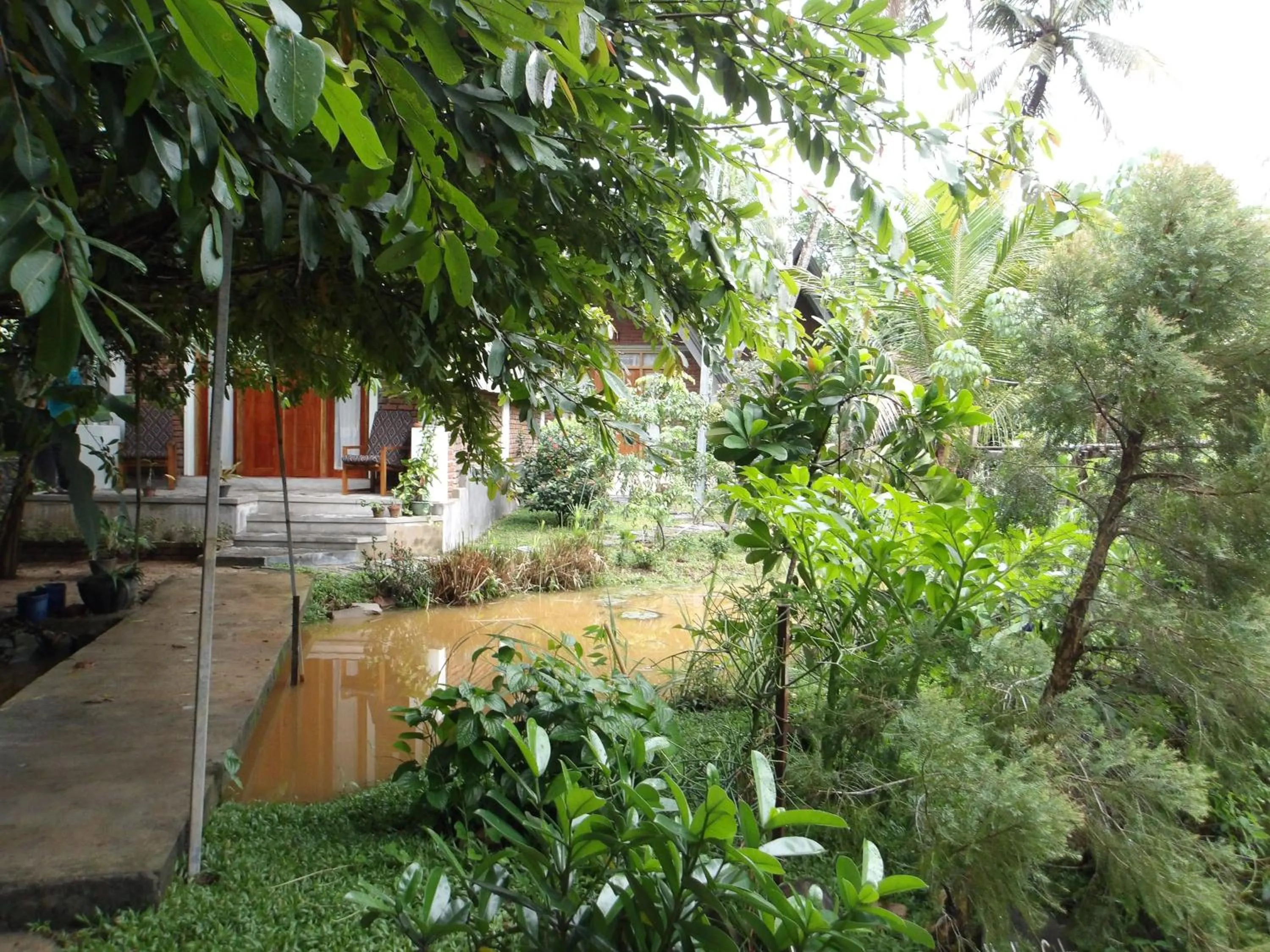 Natural landscape in Steps Garden Resort
