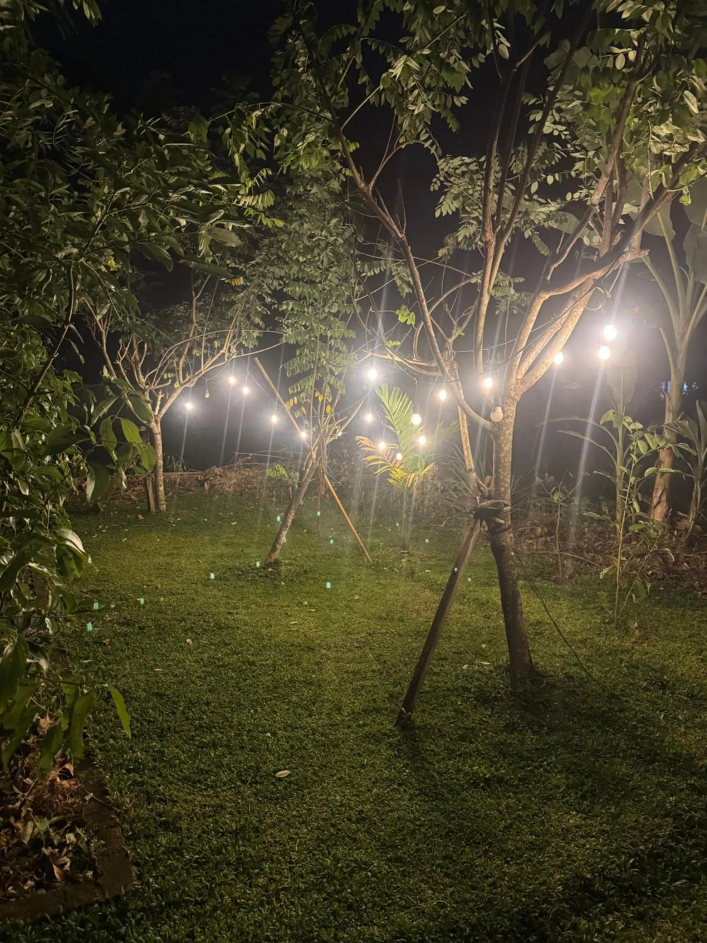 Night in Steps Garden Resort