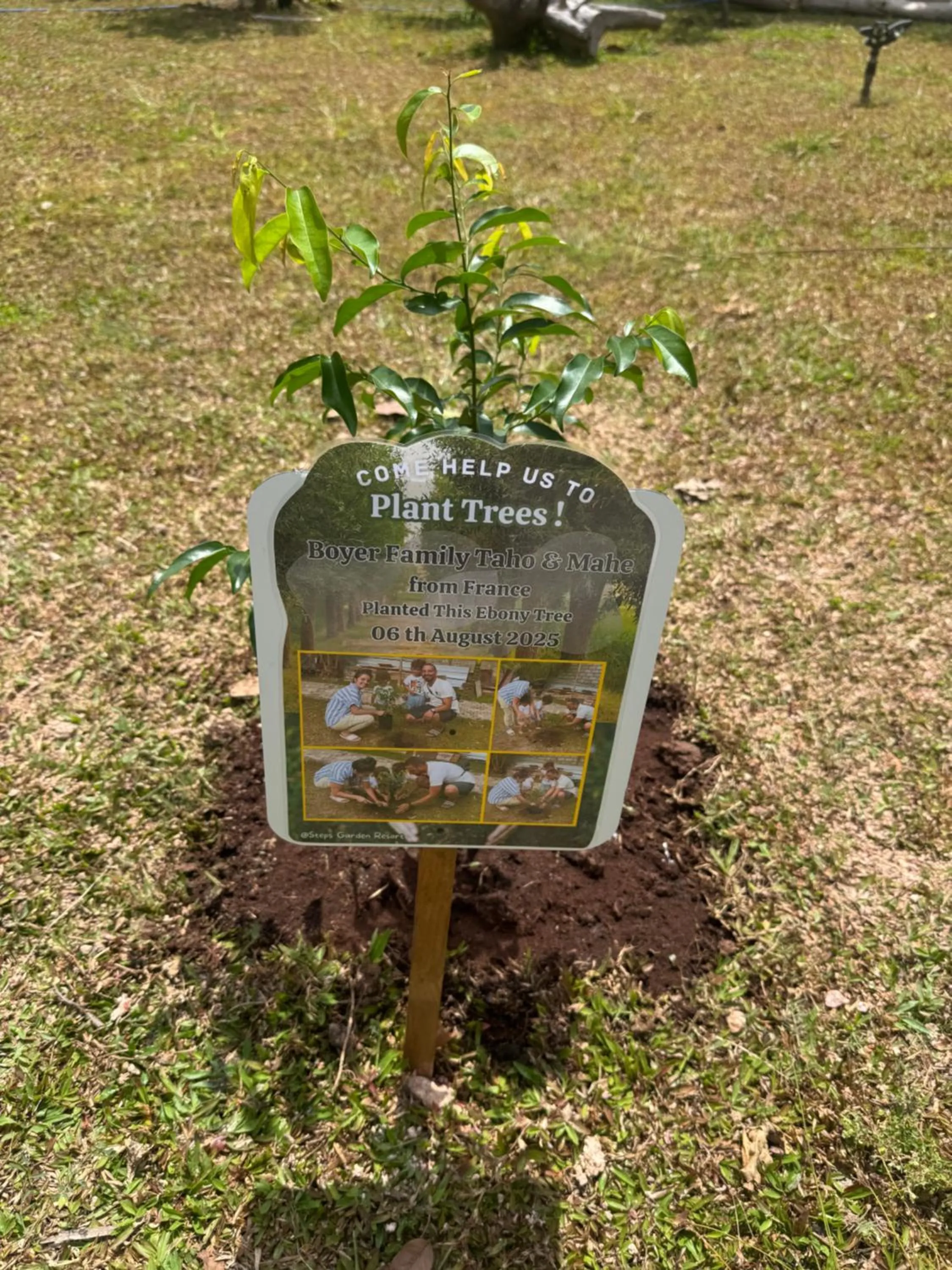 Garden in Steps Garden Resort