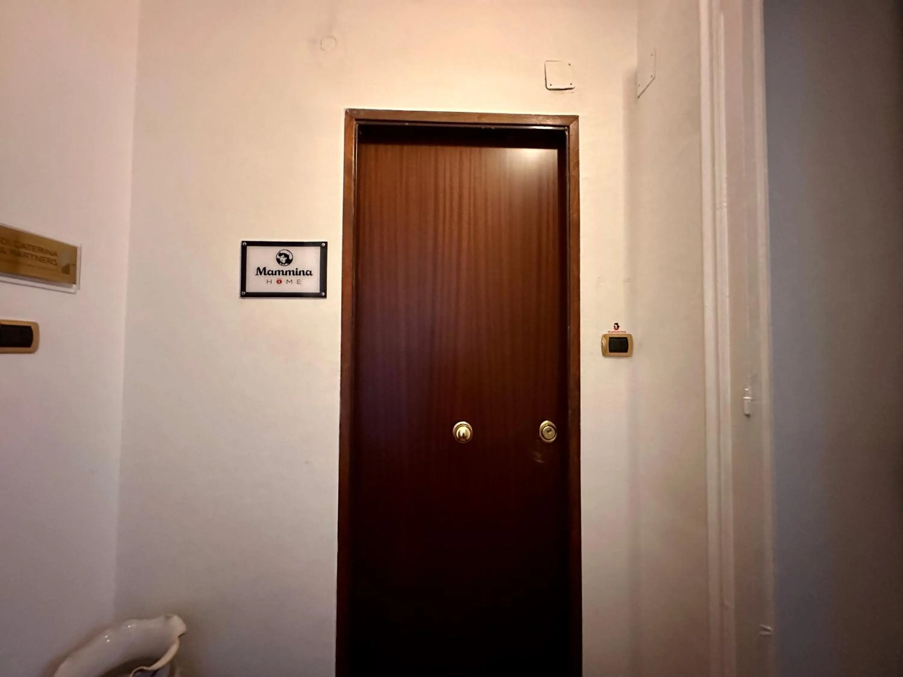 Property building in Mammina Home