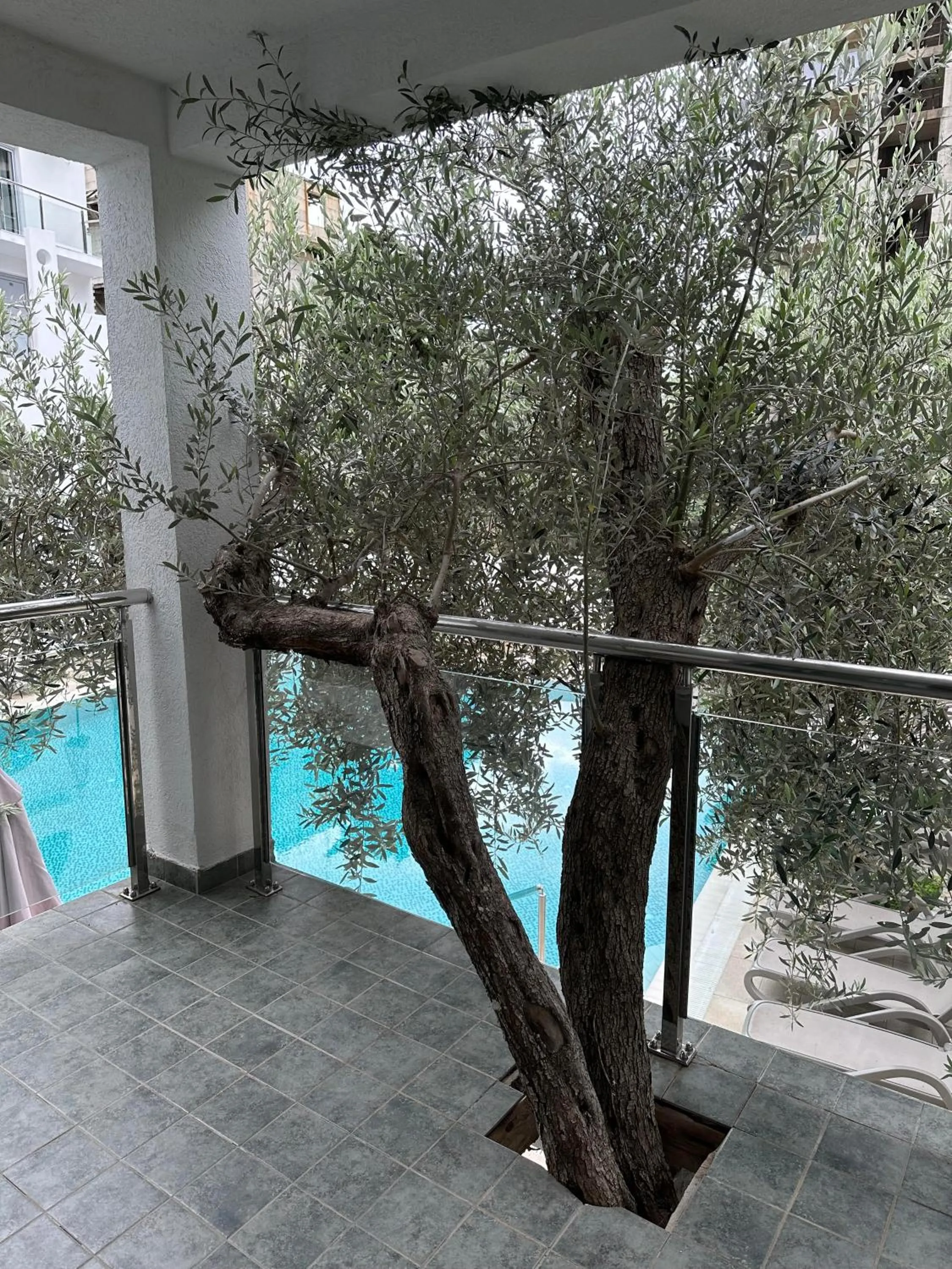 Garden view in Vile Oliva Hotel & Resort