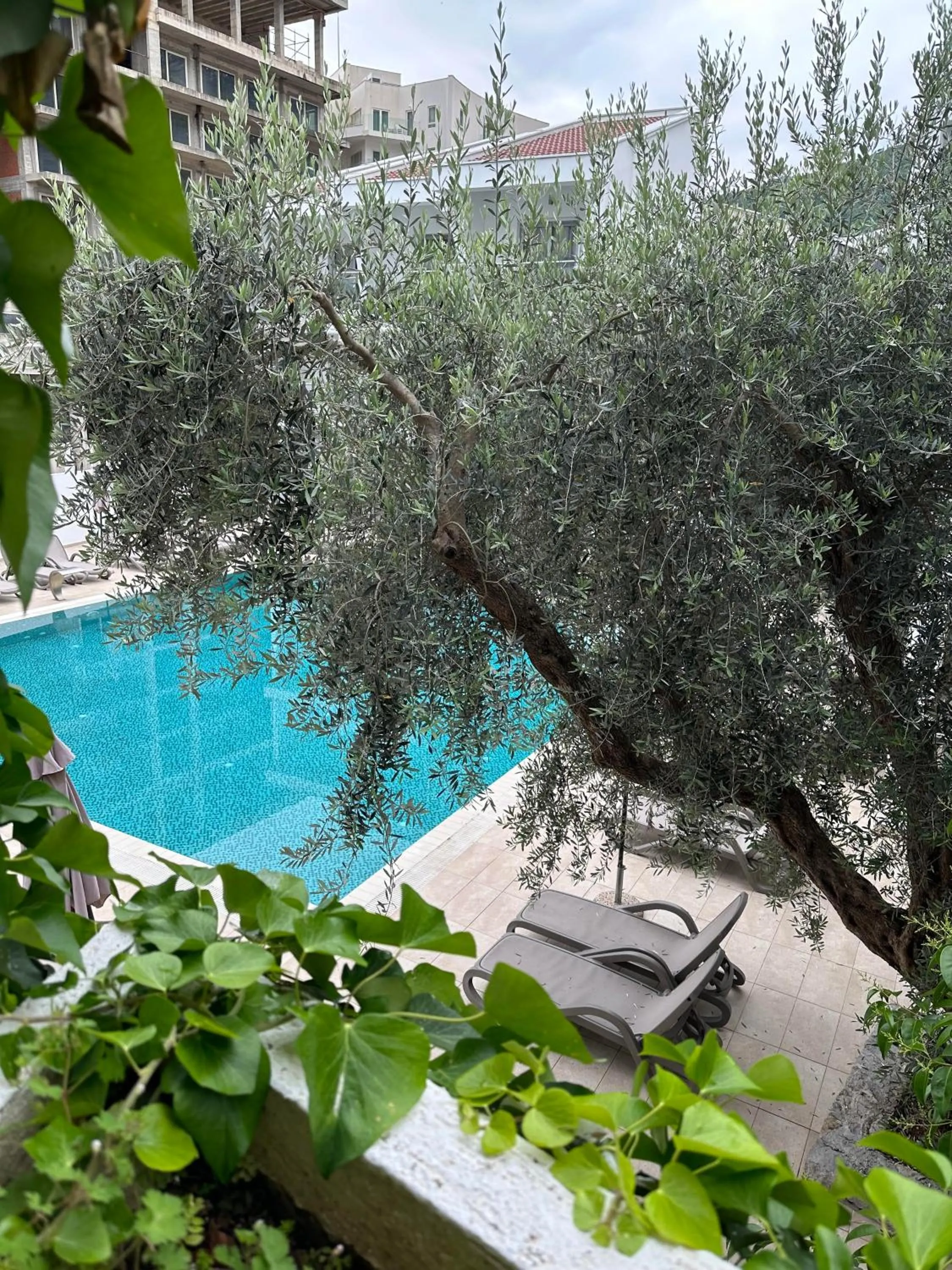 Swimming pool in Vile Oliva Hotel & Resort