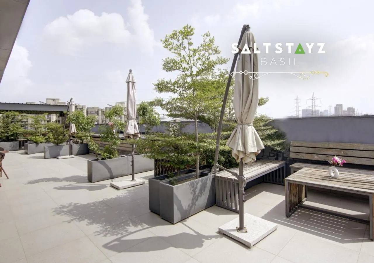 Day in Saltstayz Basil - Near Golf Course Road & Extension Road