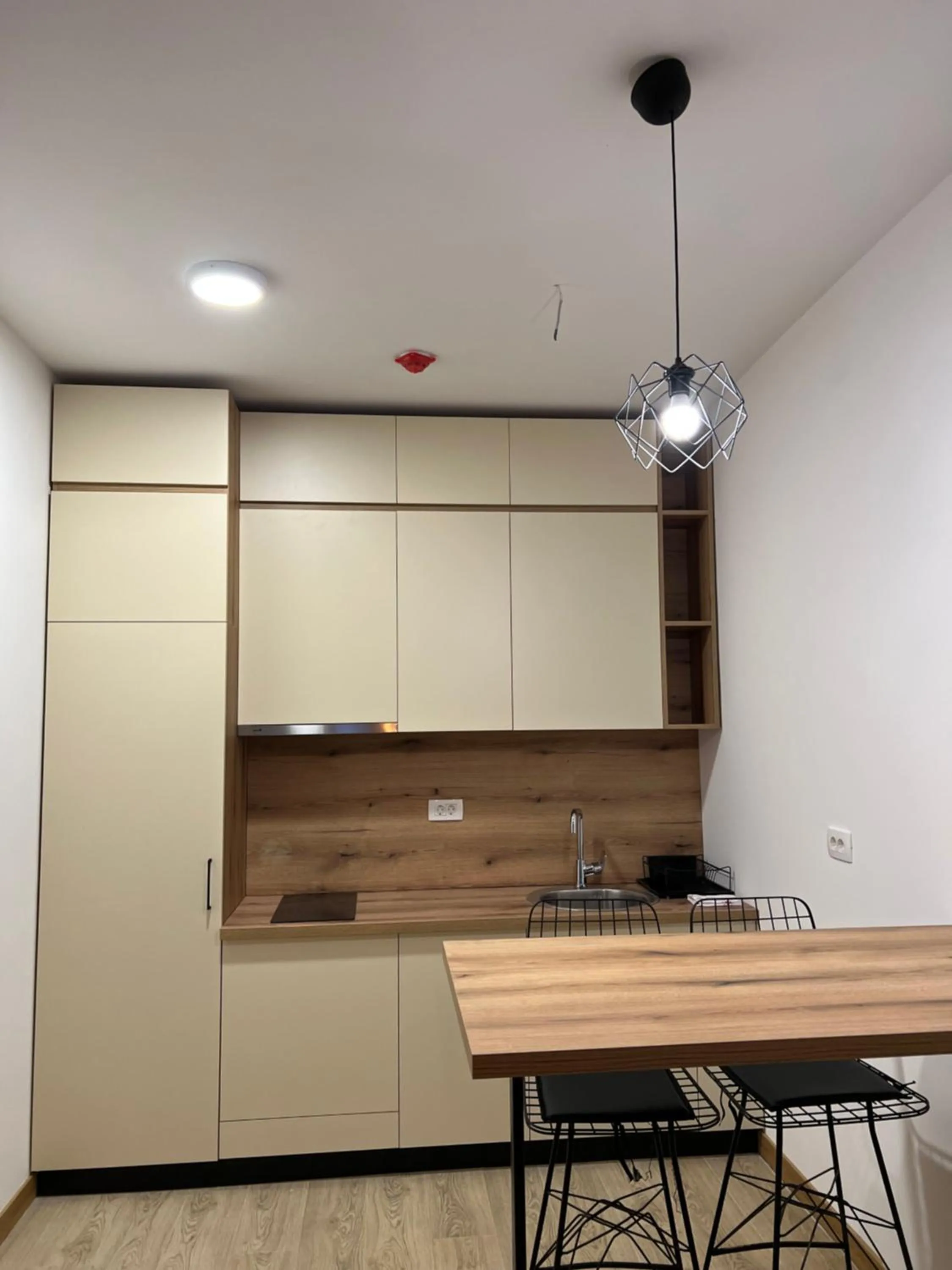 Kitchen or kitchenette in Pini Apart-hotel