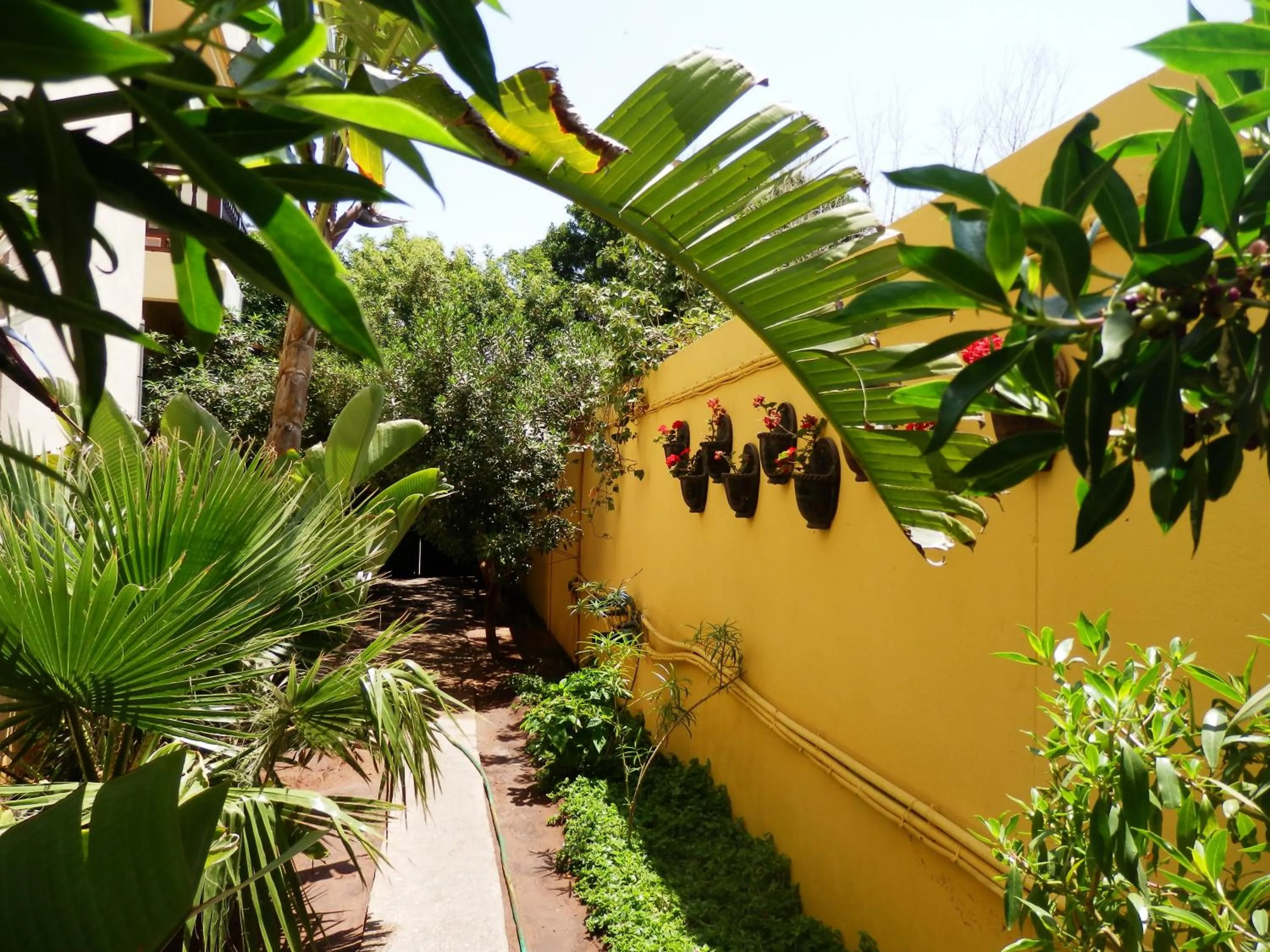 Garden in Riad Zahra