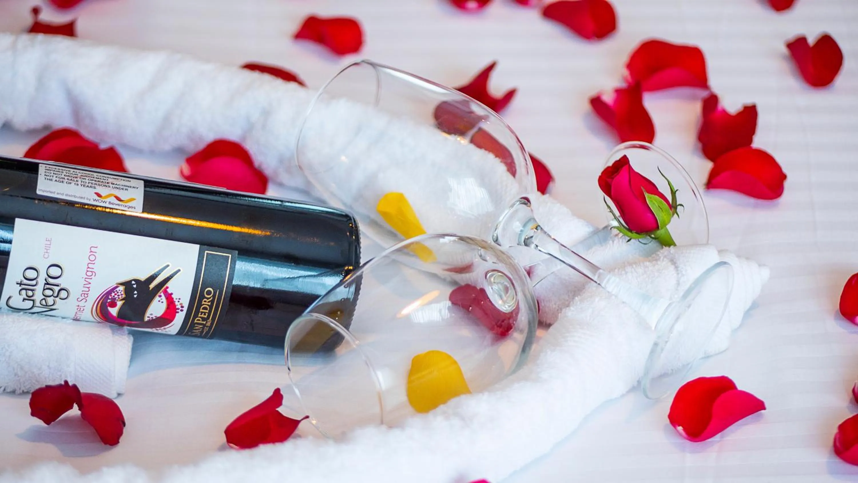 Activities in Saggys Suites Hotel & Spa