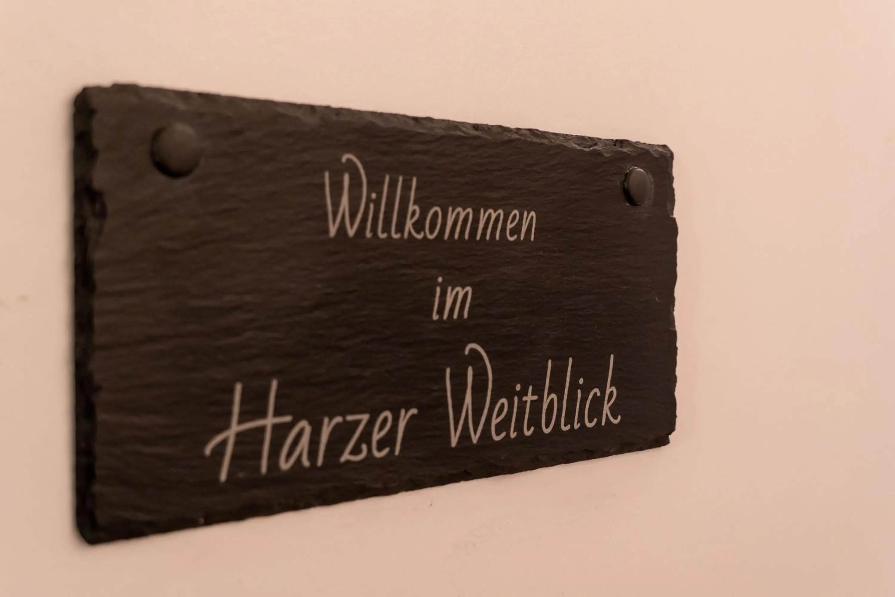 FeWo Harzer Weitblick, bis 2 Hunde Willkommen, W-Lan, 2x Smart TV, DTV 4 Sterne, 4 Pfoten