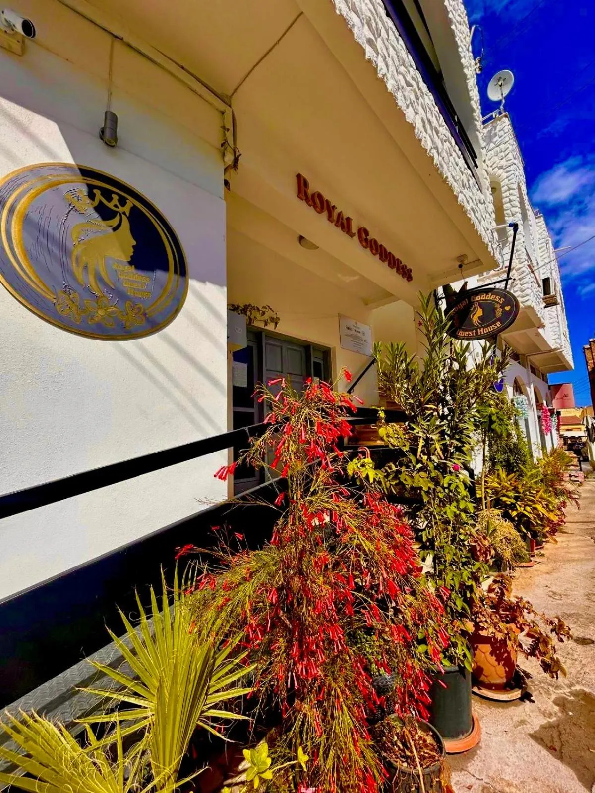 Property building in Royal Goddess Guest House, Walled City