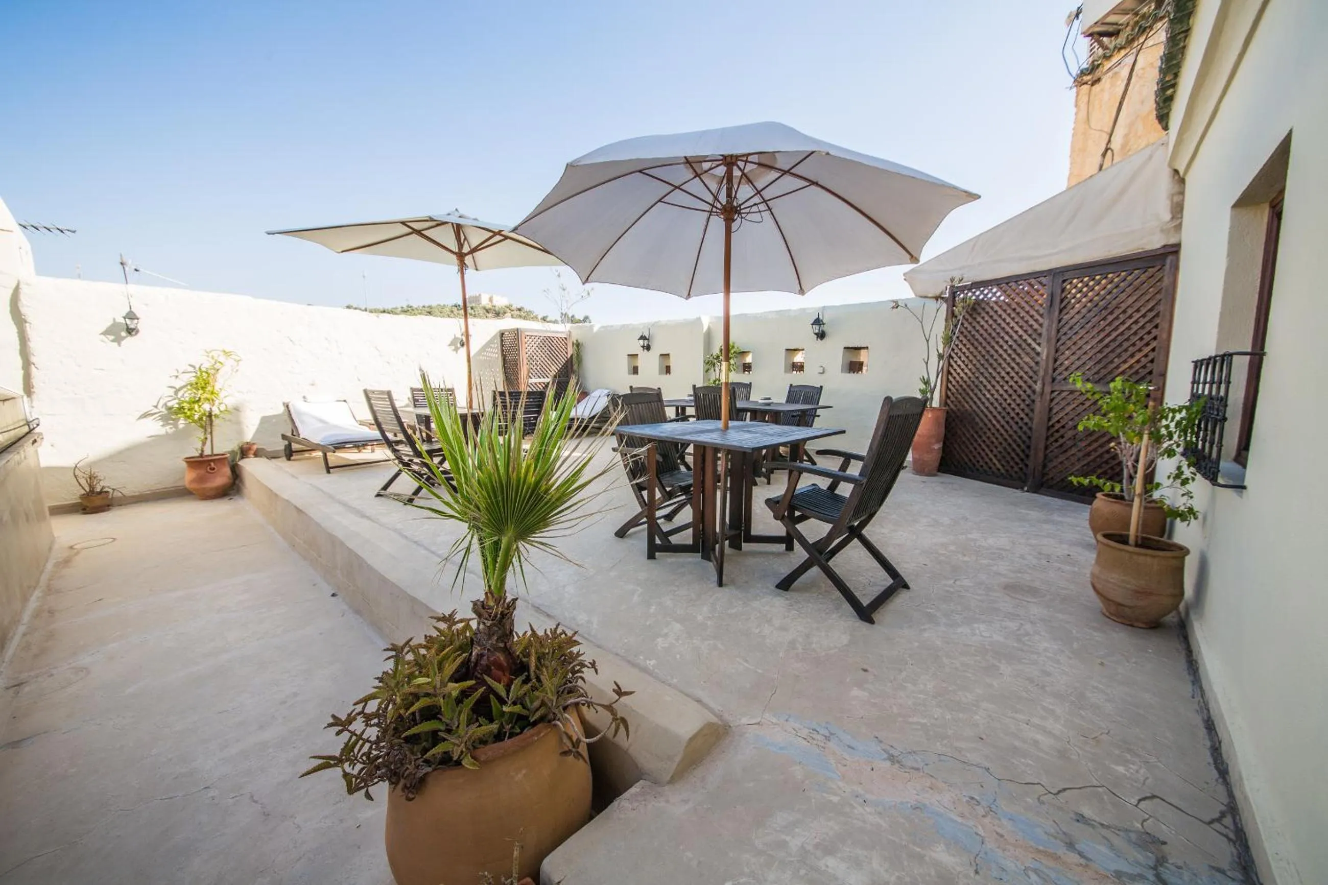 Garden in Dar victoria