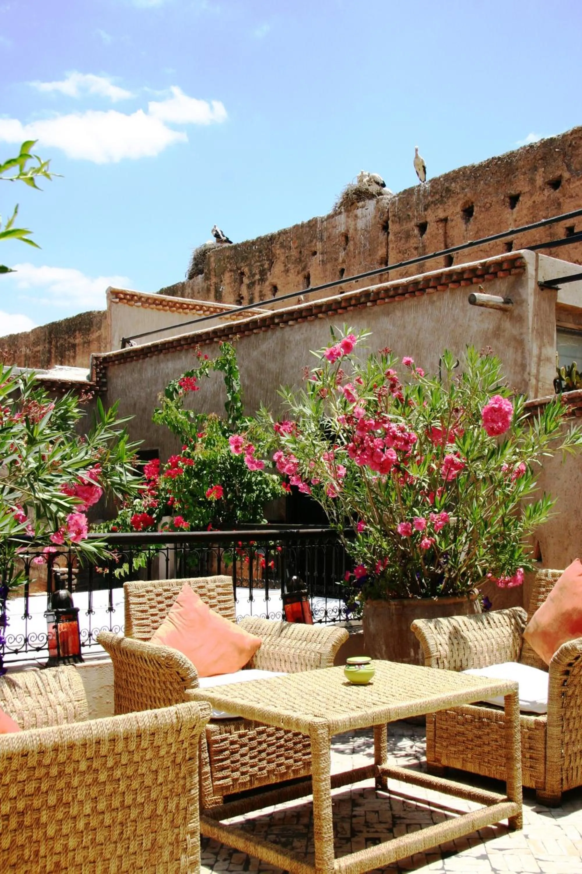 Balcony/Terrace in Riad Carina