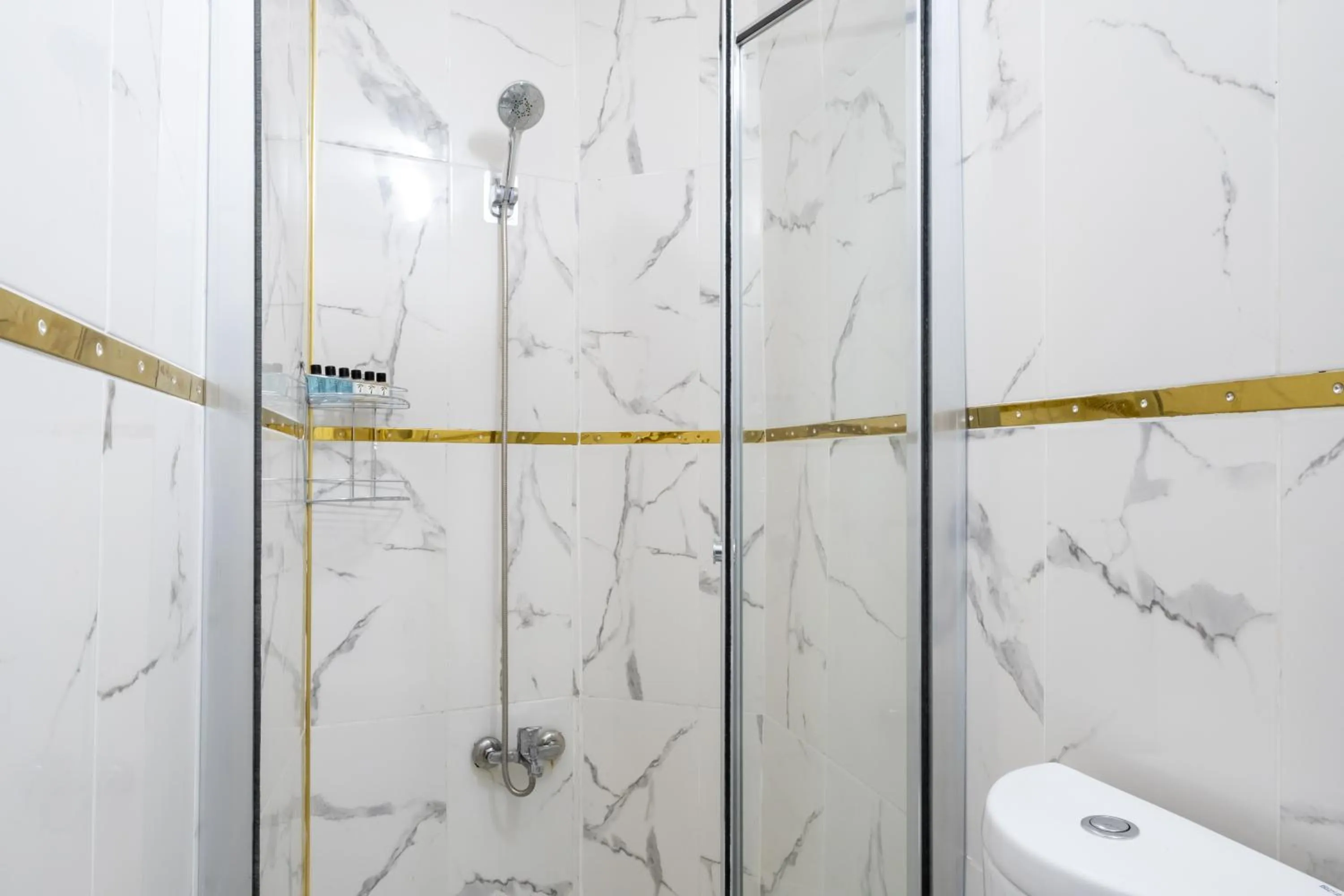Shower in İSTANBLUE TAKSİM APART HOTEL