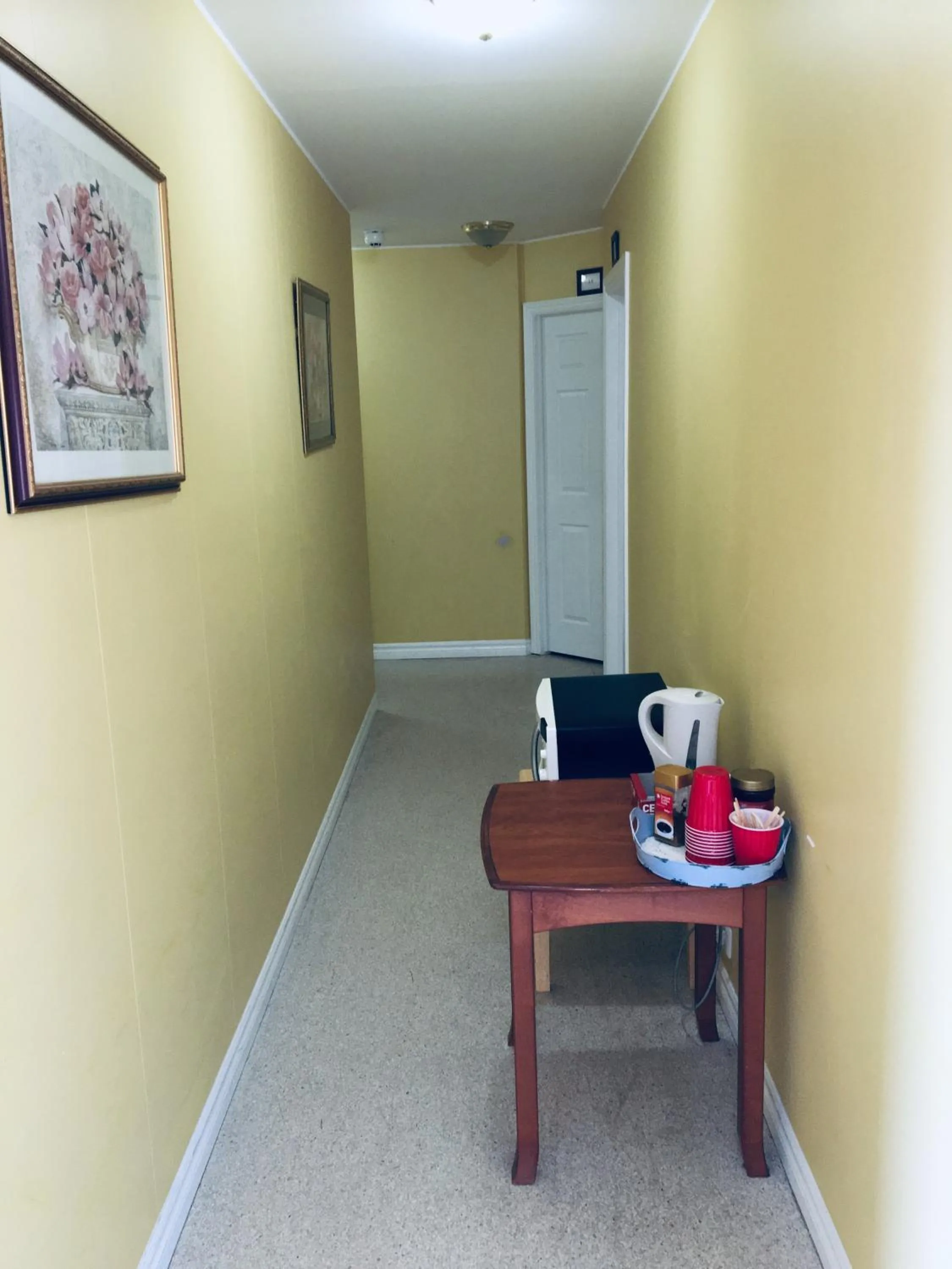 Coffee/tea facilities in Hotel Vogar