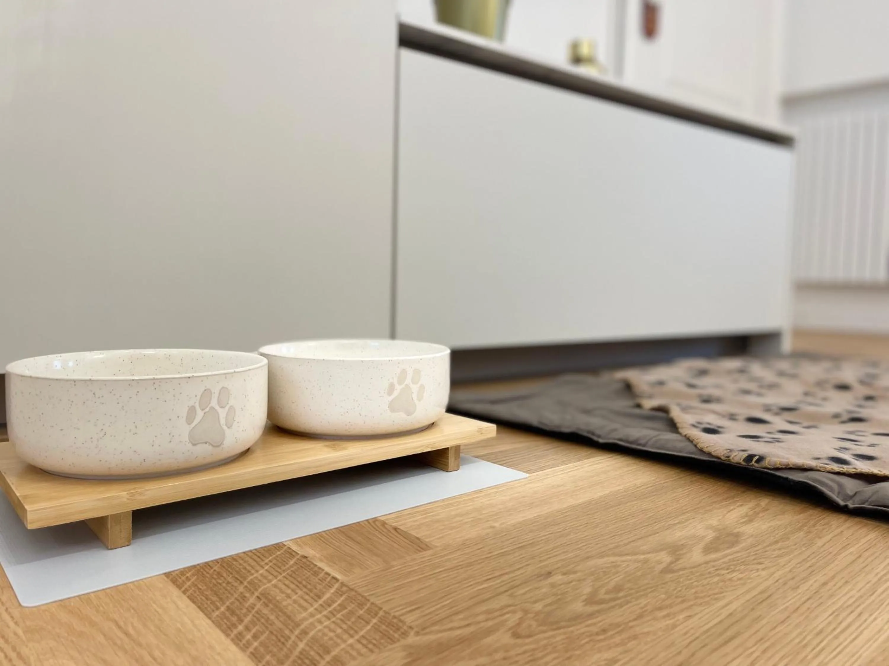 Pets in Bellagio Luxury Suites Apartments