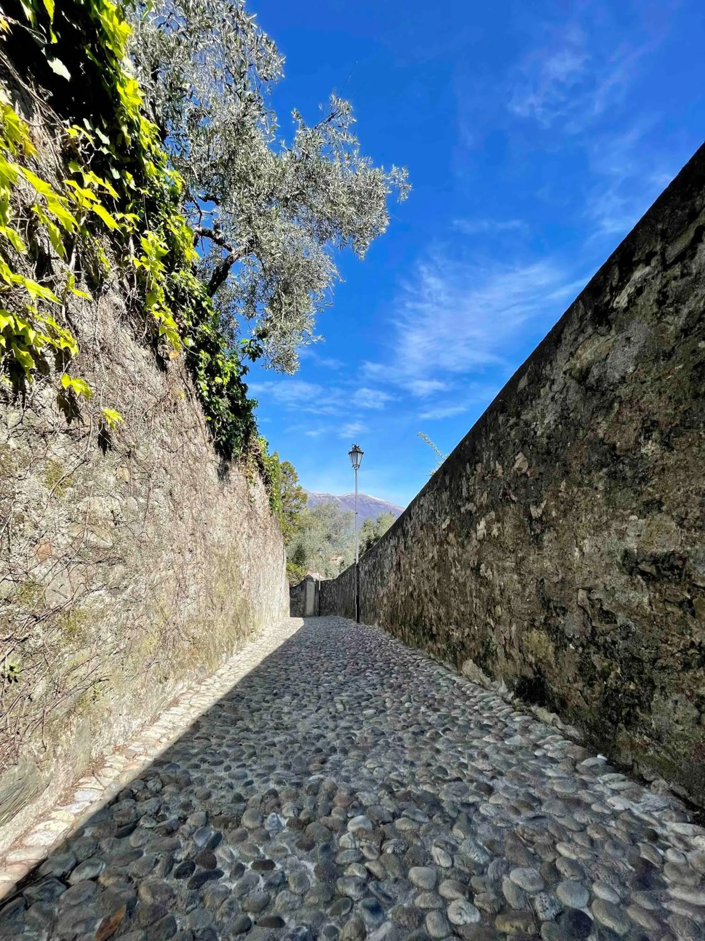 Bellagio Luxury Suites Apartments