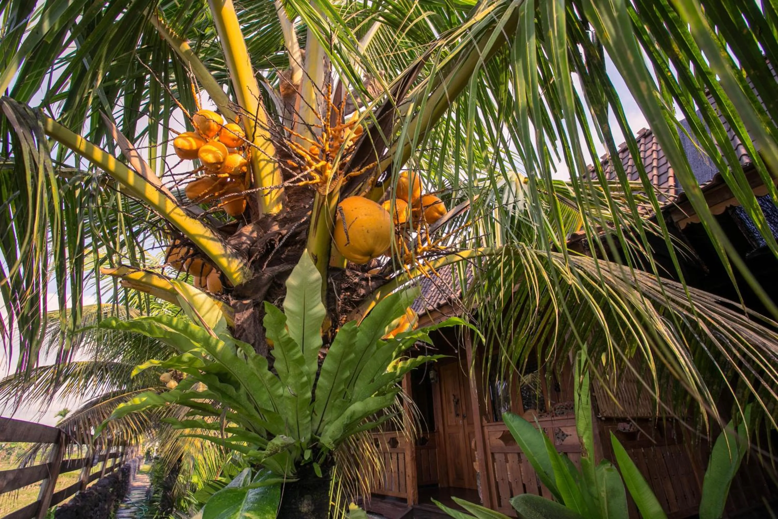 Property building in Pondok Cap Oleng Guesthouse Canggu by Ecommerceloka