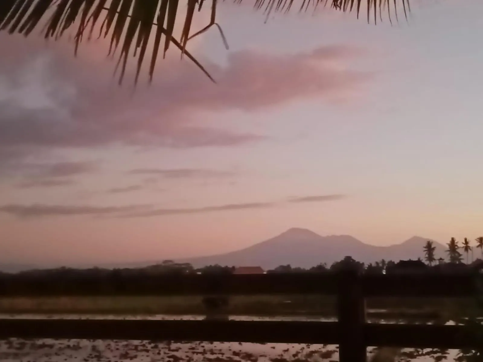 Day in Pondok Cap Oleng Guesthouse Canggu by Ecommerceloka