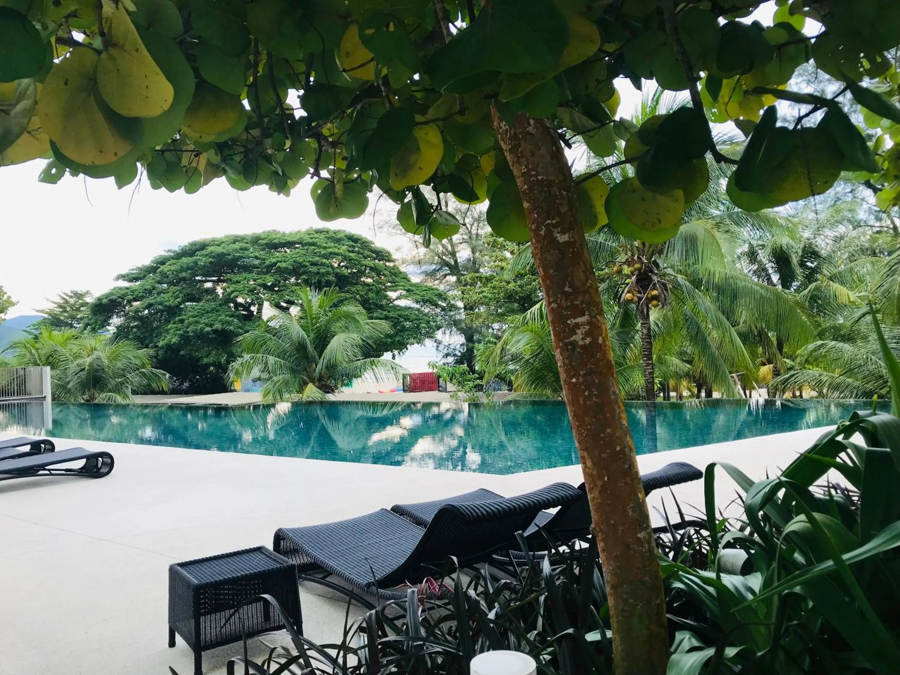 Swimming pool in By The Sea Batu Ferringhi