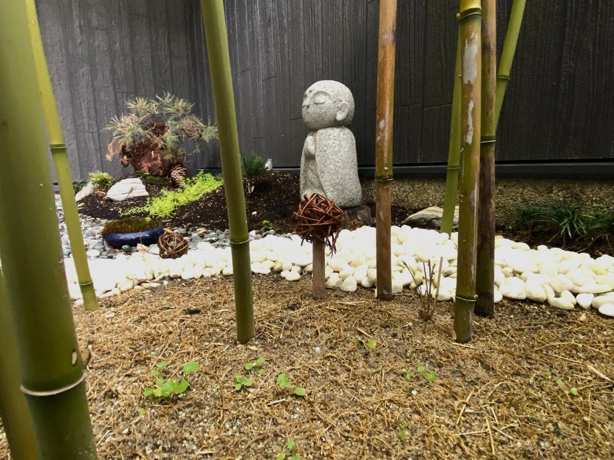 Day in Kyoto Tabisou Kasumi