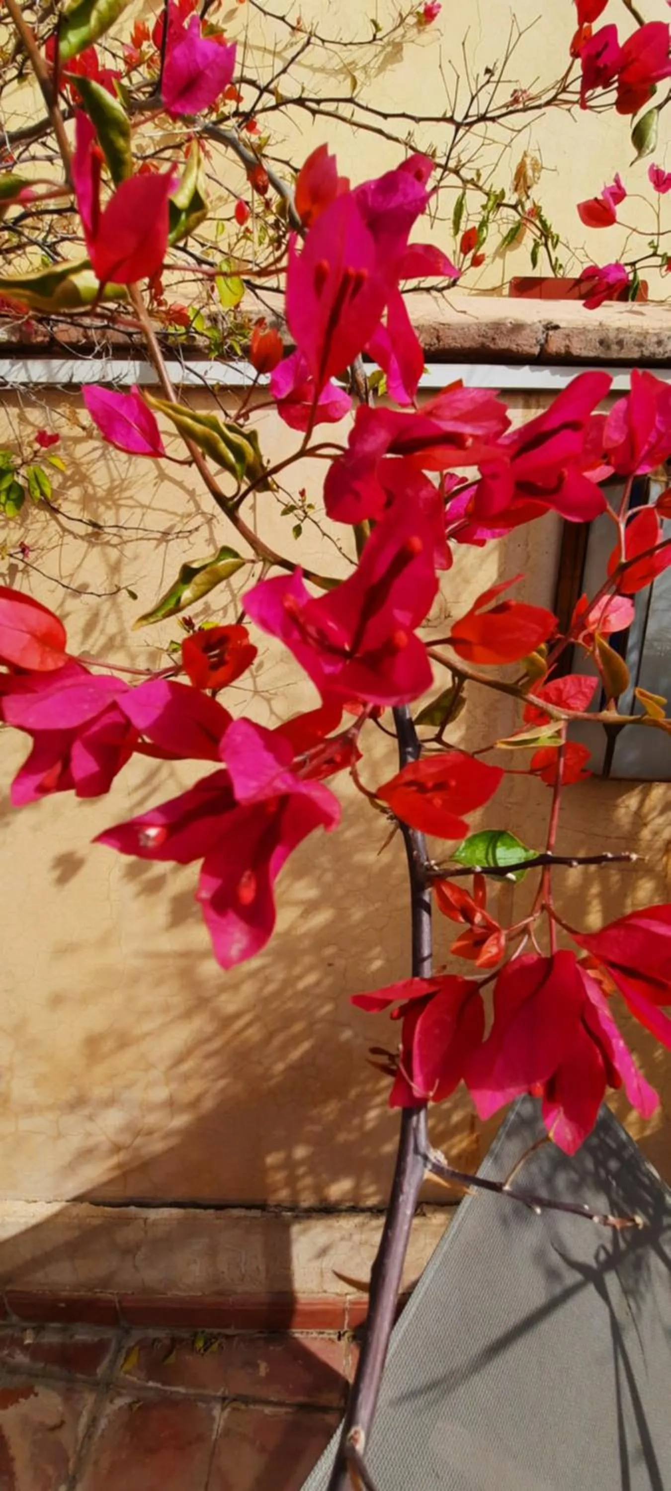 Property building in Riad Dar Zaya