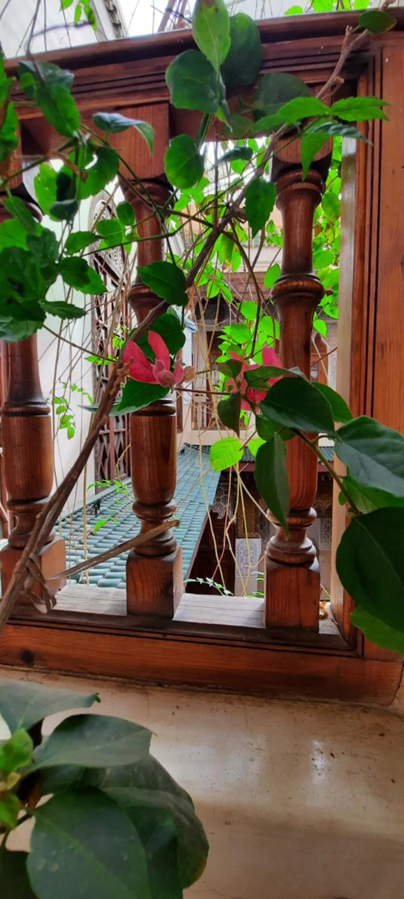 Balcony/Terrace in Riad Dar Zaya