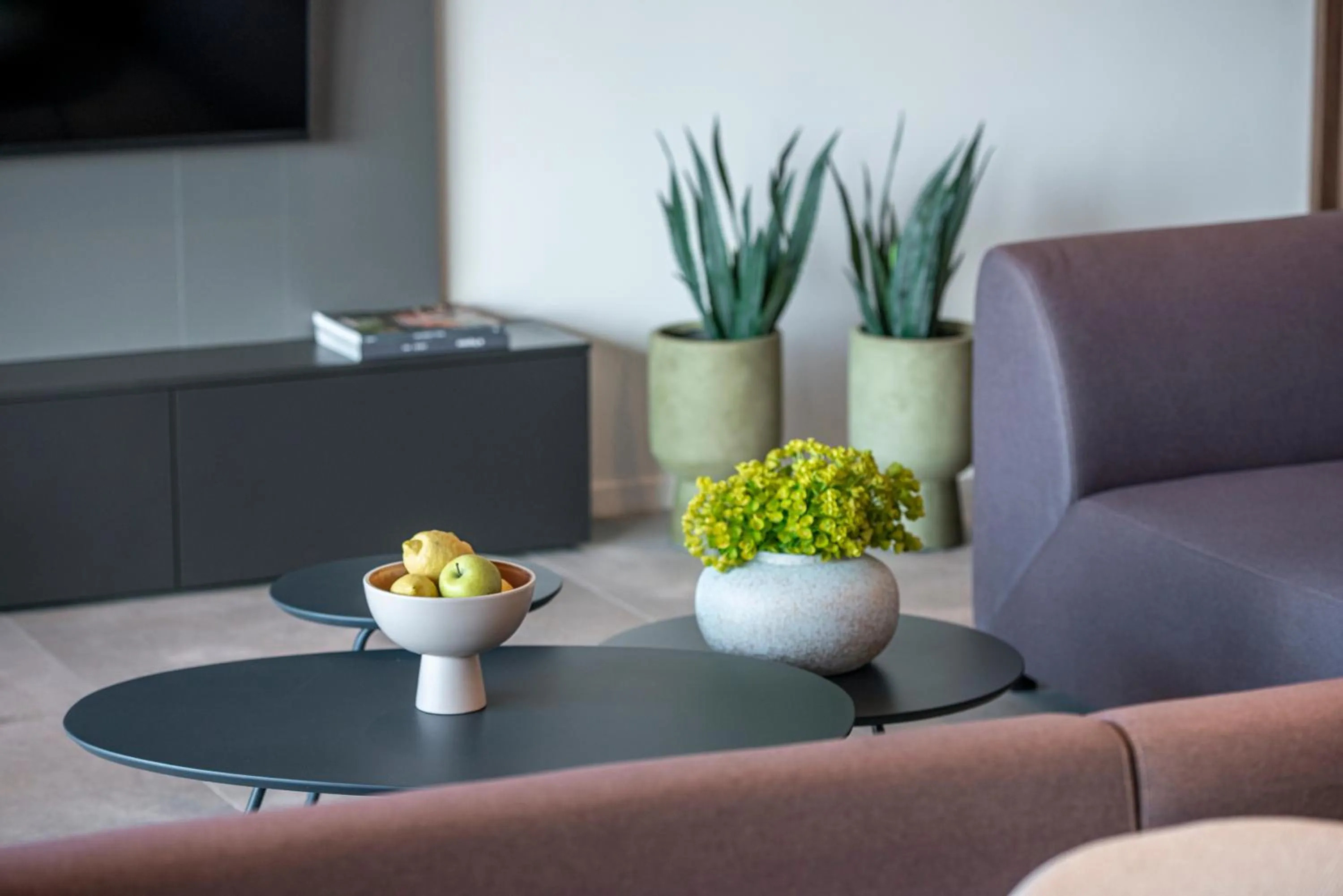 TV and multimedia in "Villa AnMari" The Cavtat View Residence