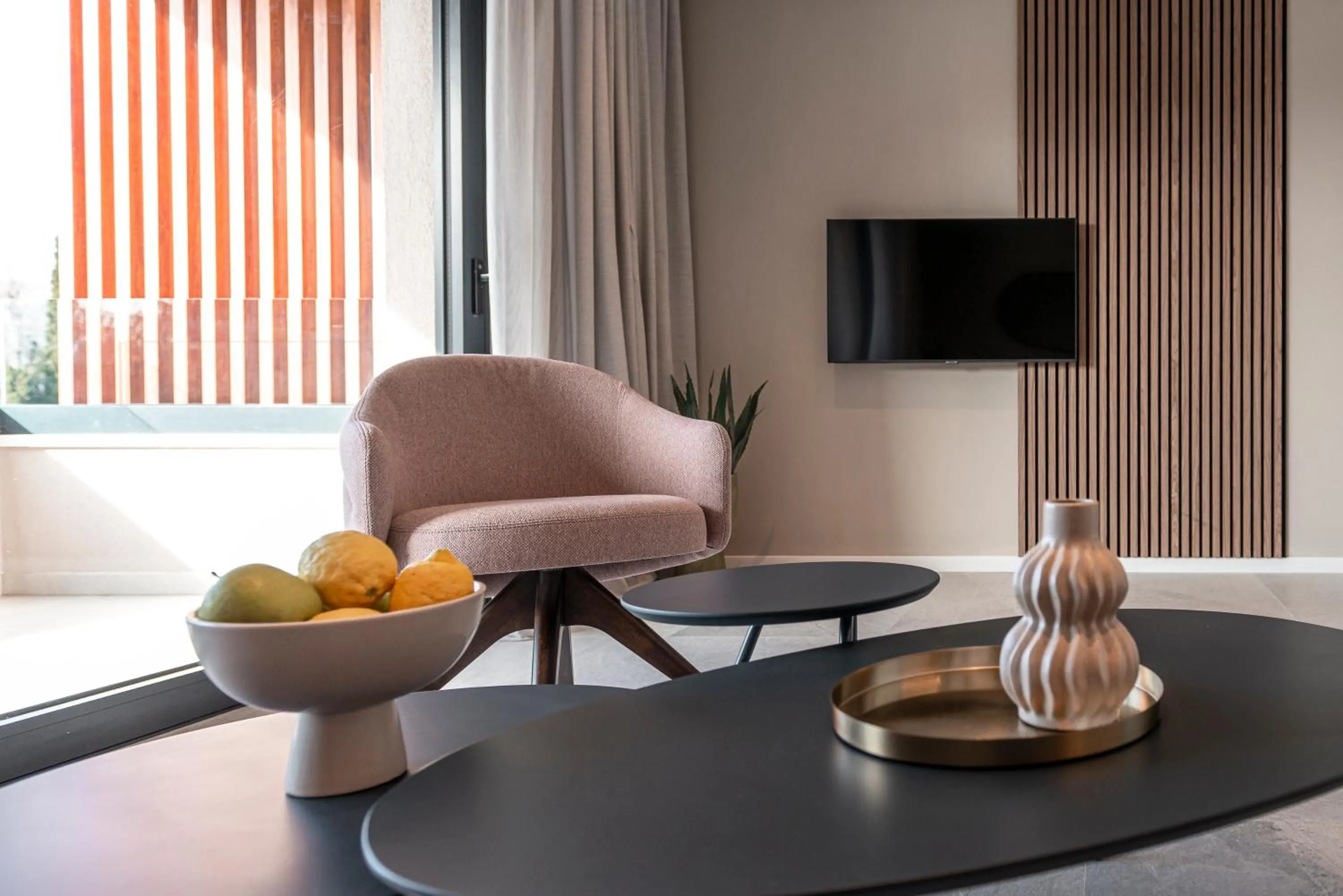 TV and multimedia in "Villa AnMari" The Cavtat View Residence