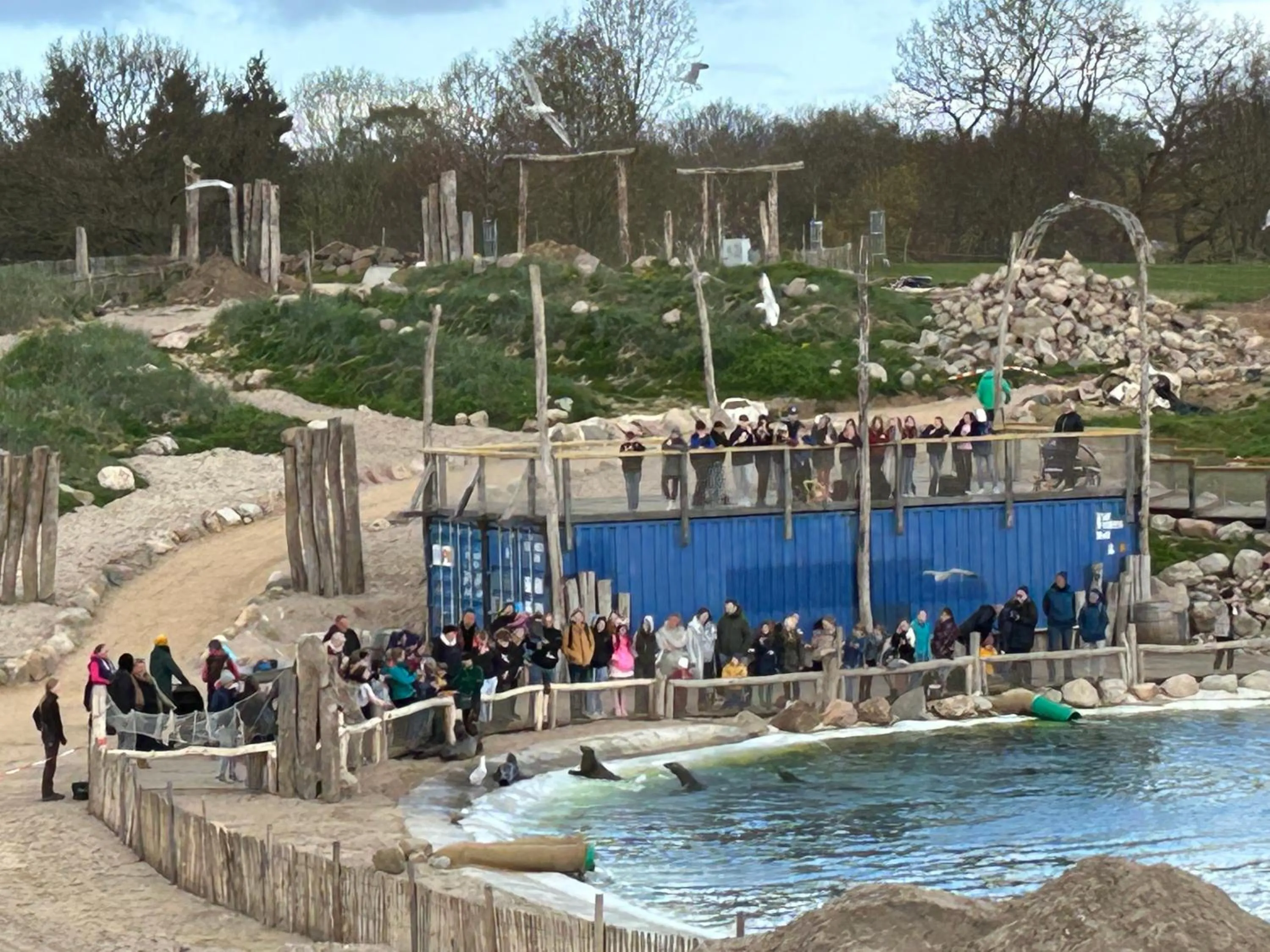 Küstenbude Seehundblick