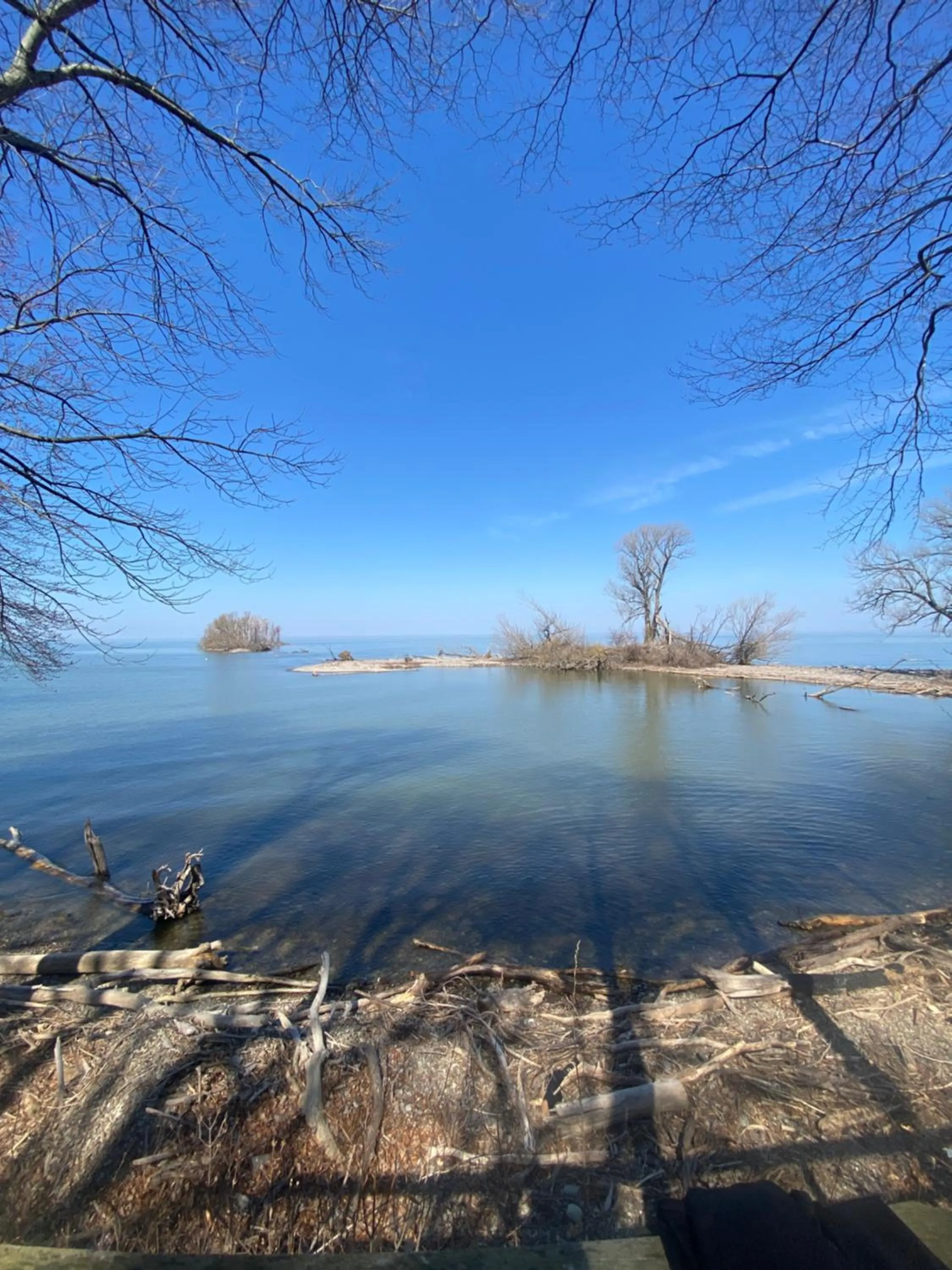 Natural landscape in Shady Shores RV Resort & Campground