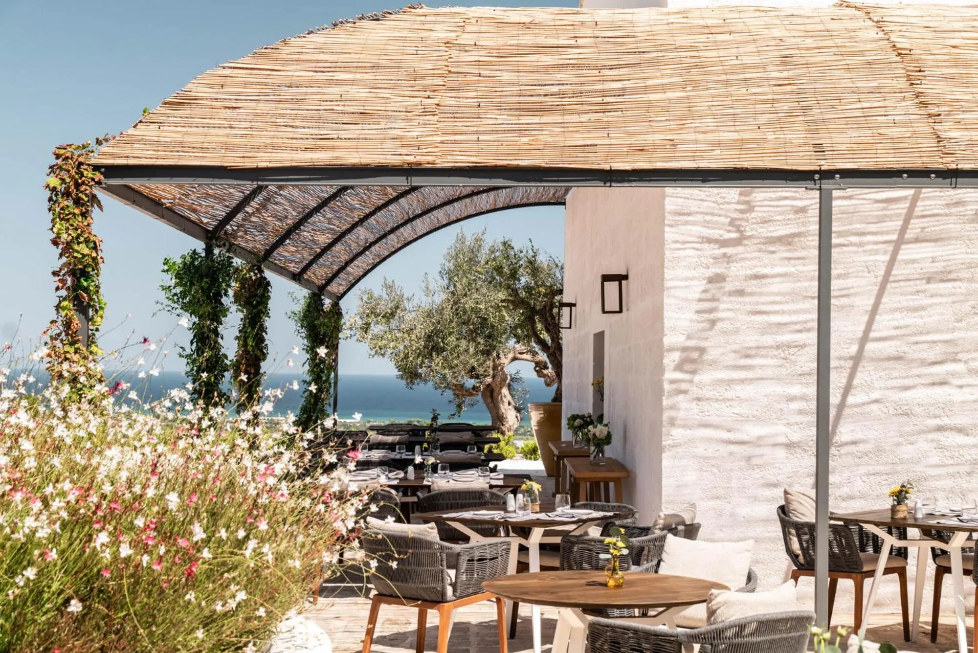 Restaurant/places to eat in Masseria Auraterrae
