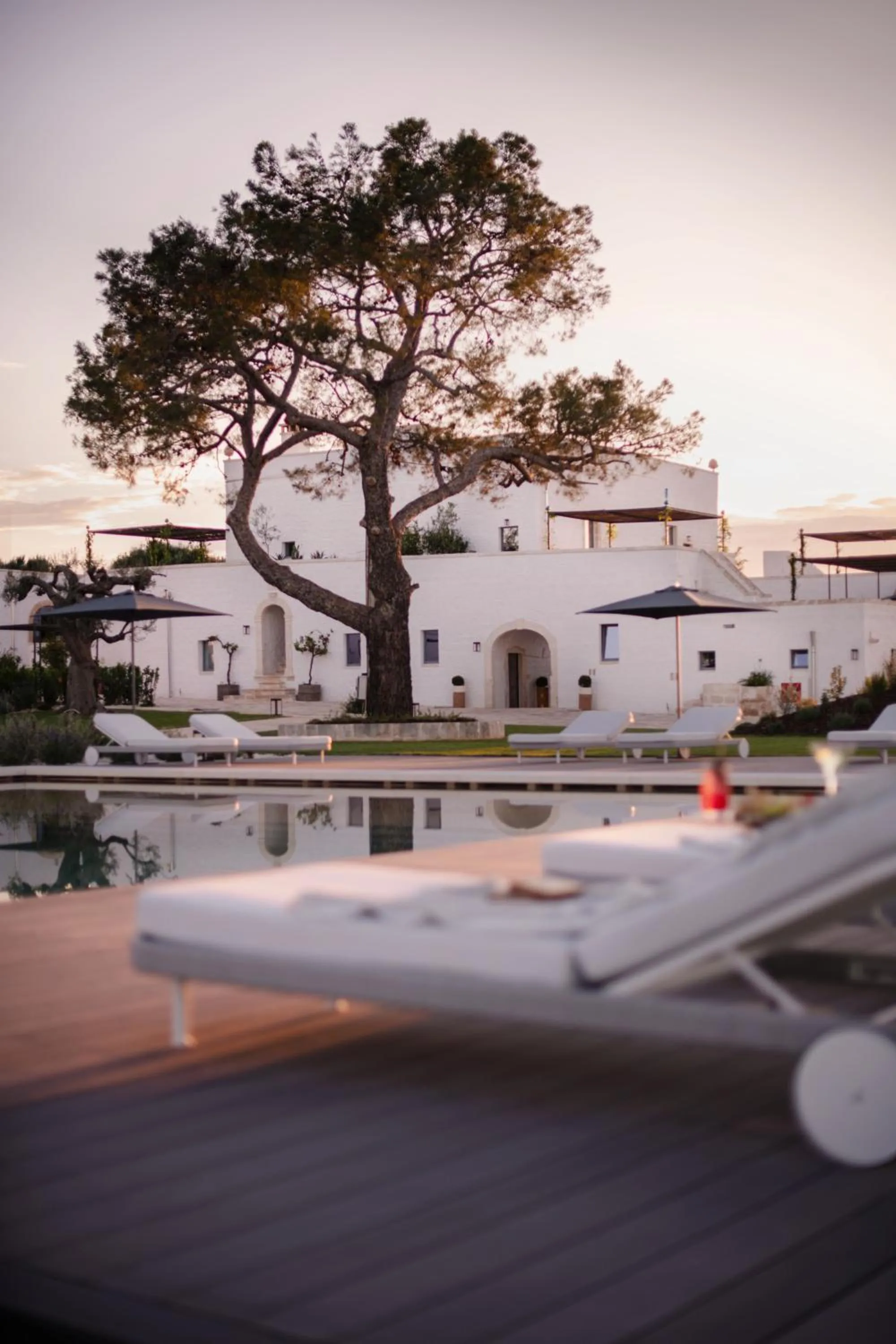 Swimming pool in Masseria Auraterrae