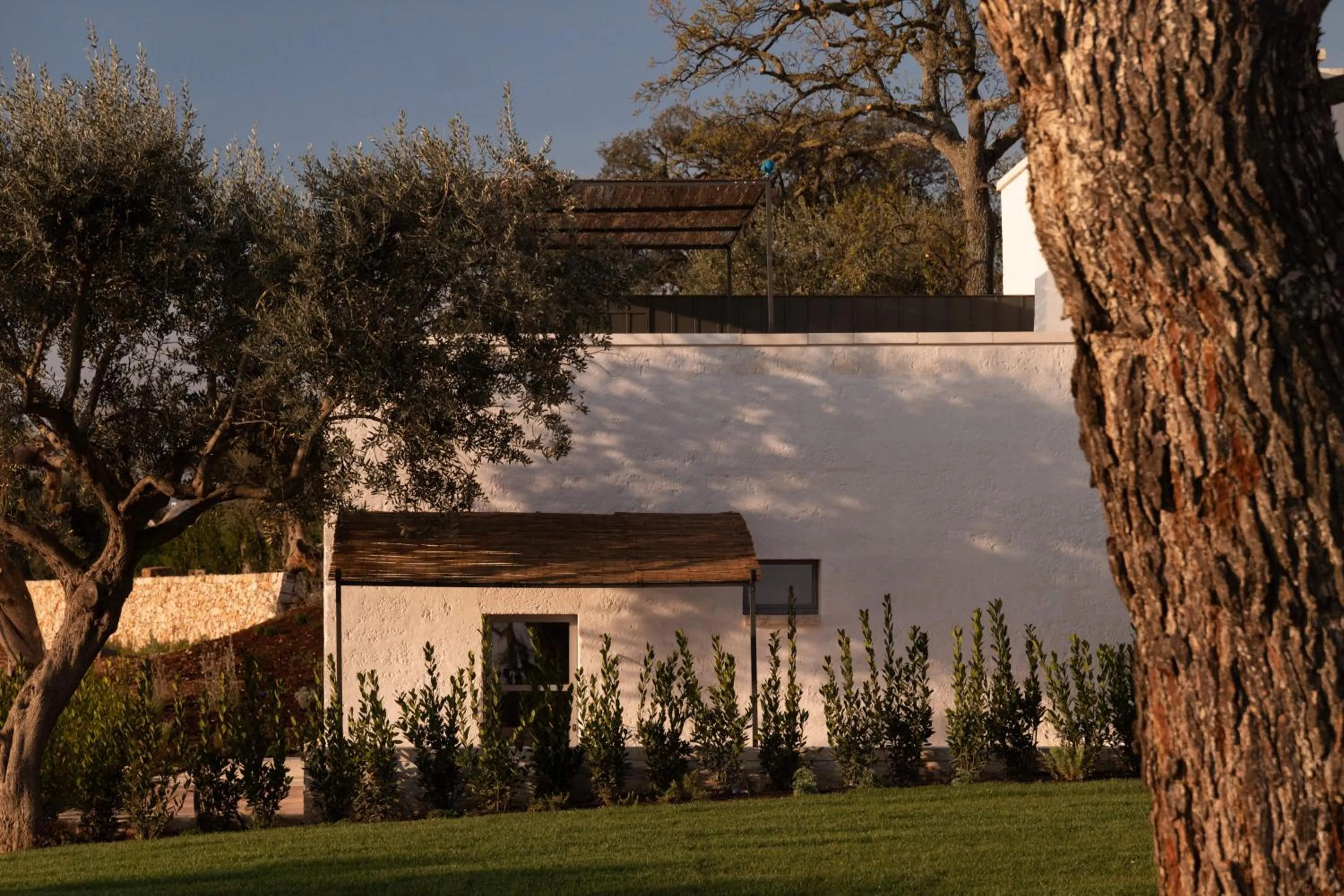 Garden in Masseria Auraterrae
