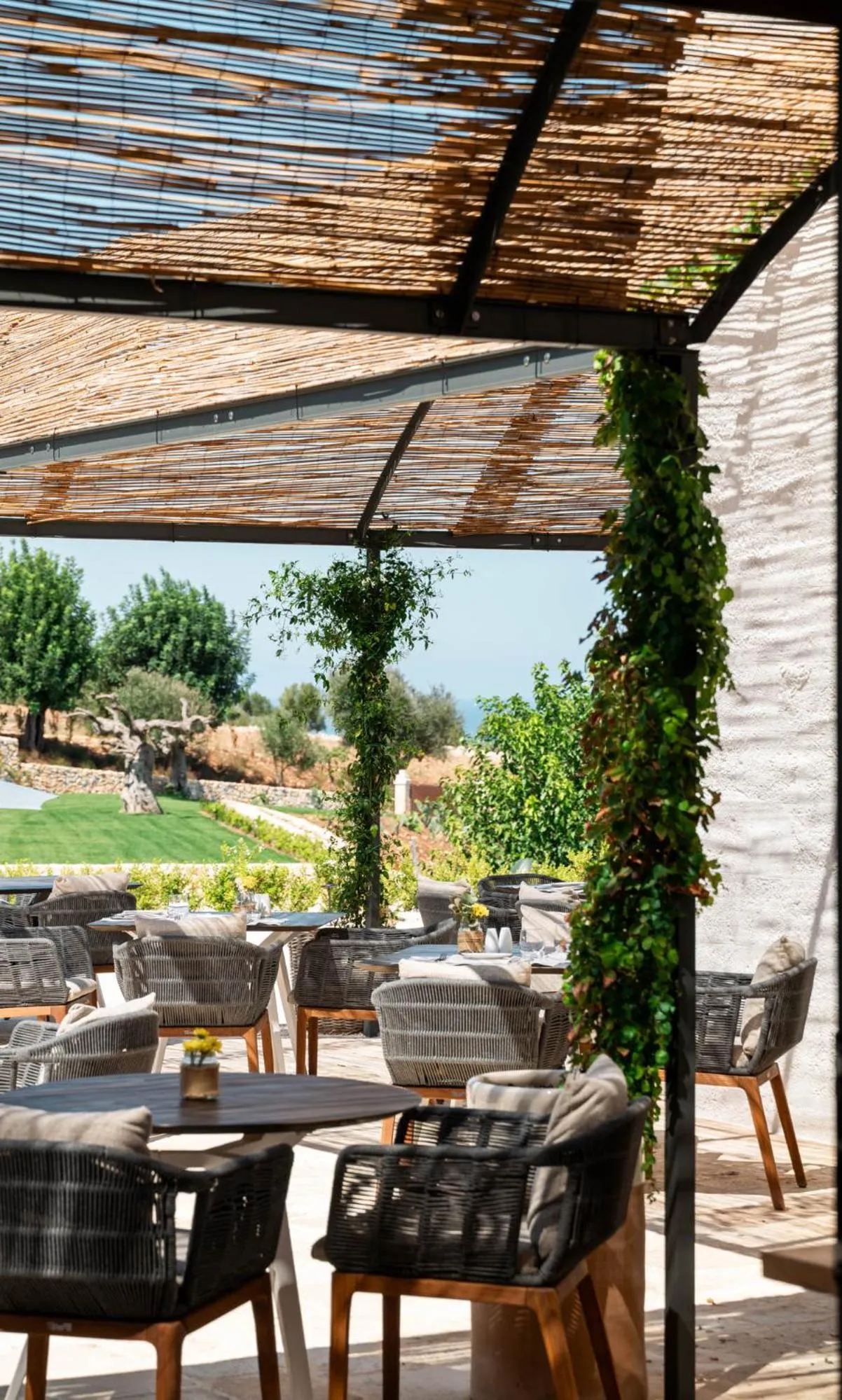 Restaurant/places to eat in Masseria Auraterrae