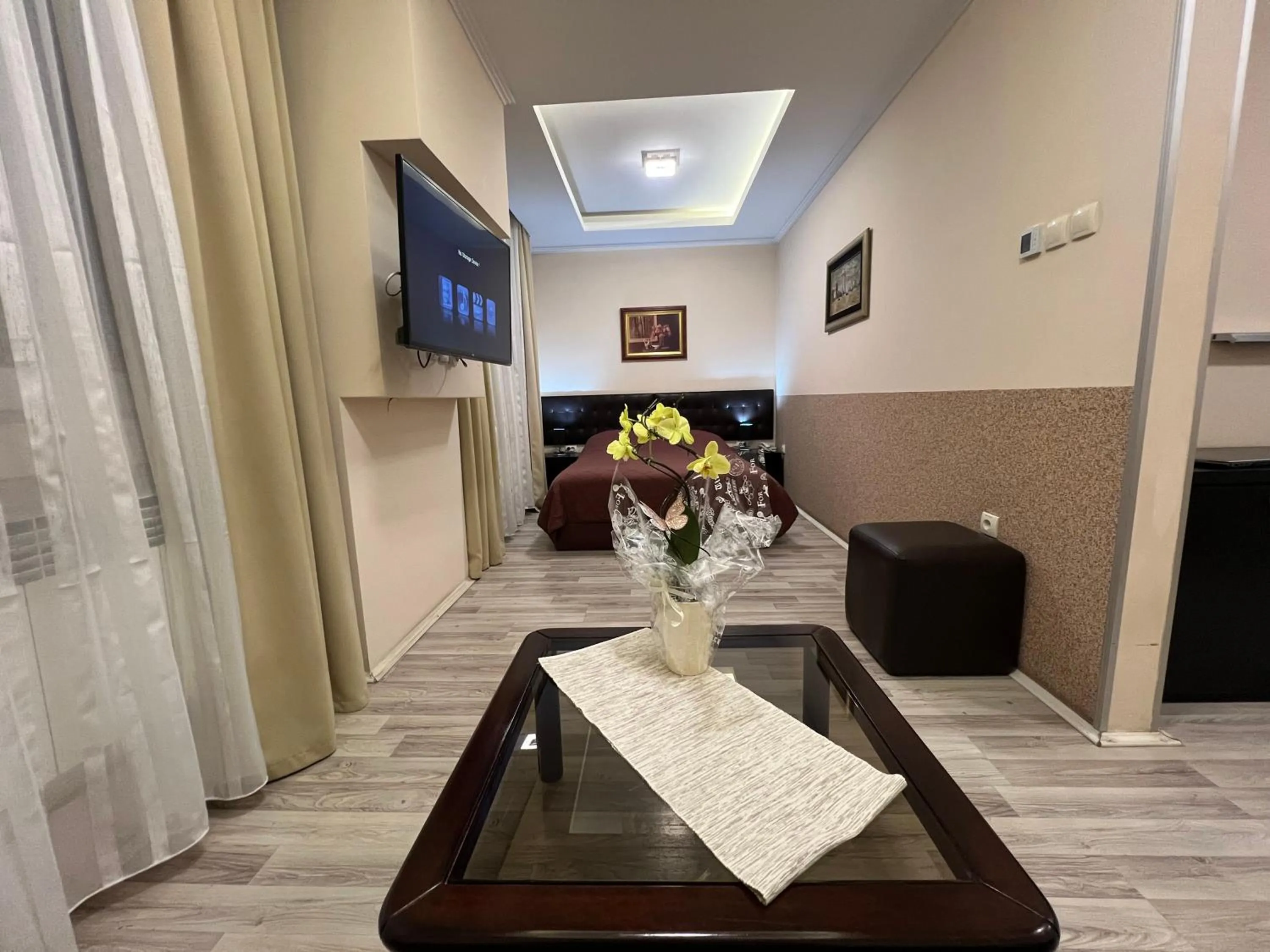 TV and multimedia in Hotel Petrus