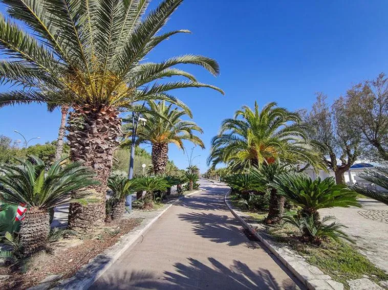 Ampio Quadrilocale 8 Pax vista mare