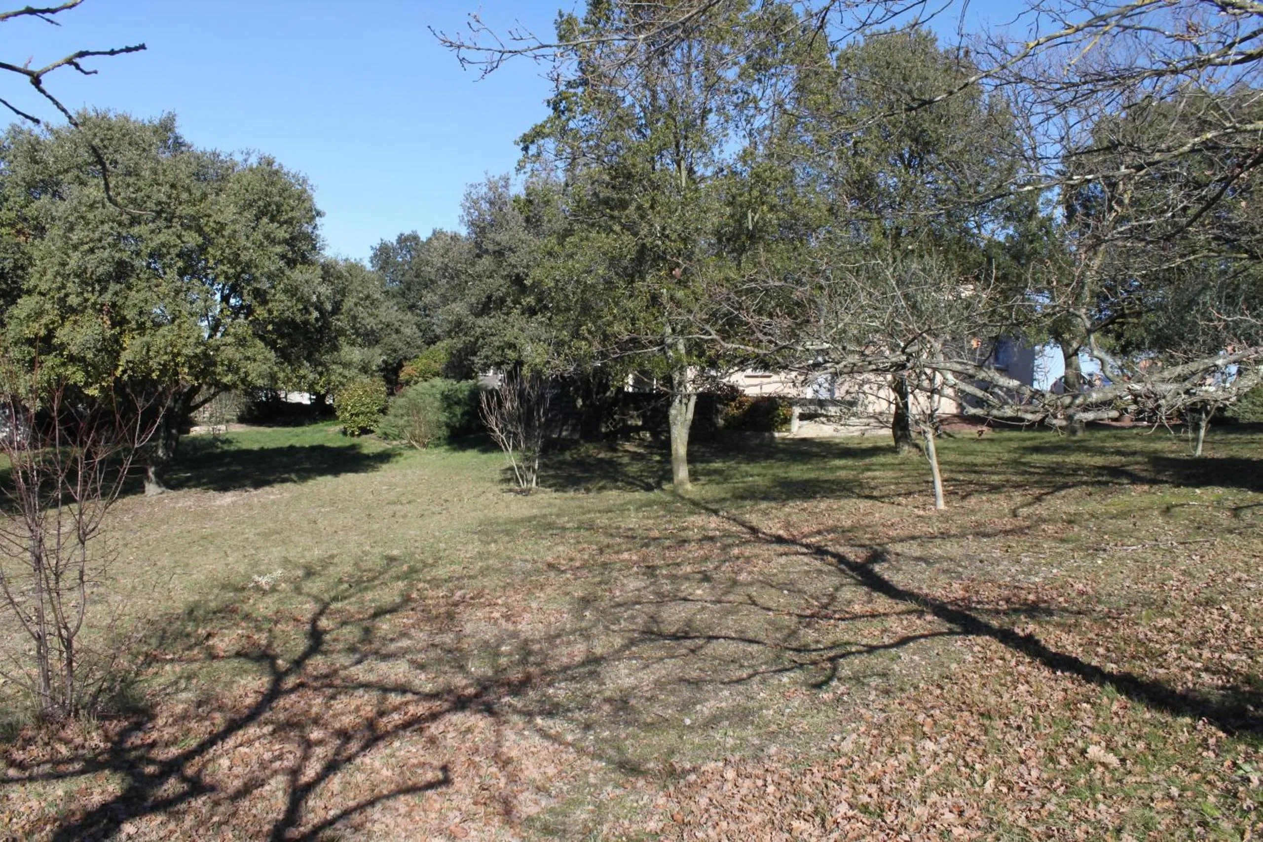 View (from property/room), Garden in Chambre d'hôtes Des couleurs et des Mots