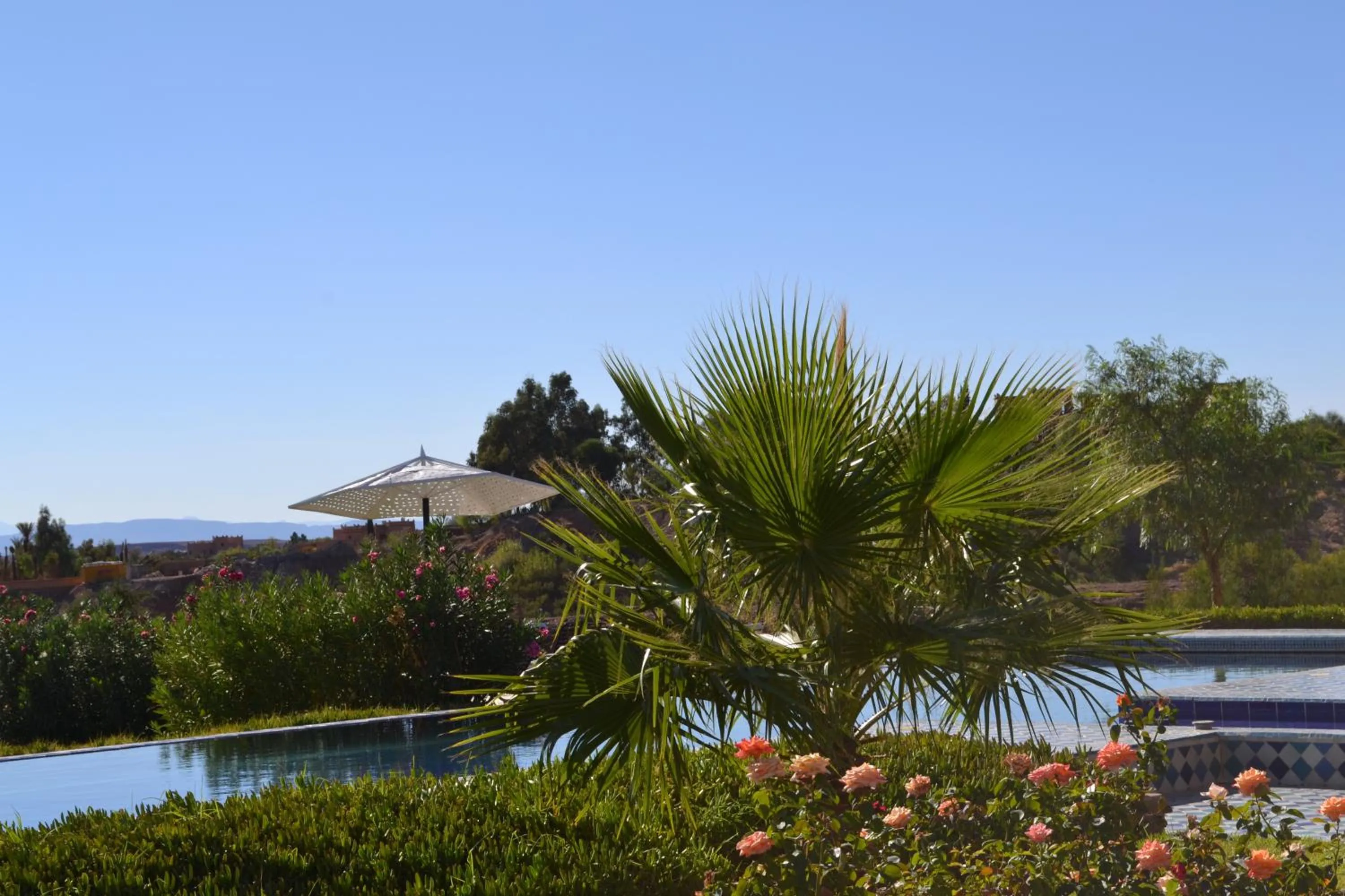 Garden in Sultana Royal Golf