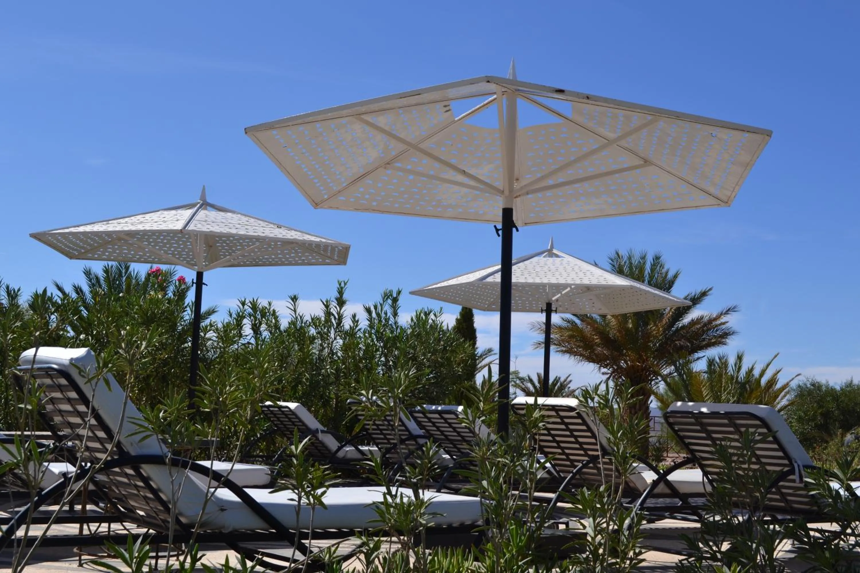 Balcony/Terrace in Sultana Royal Golf