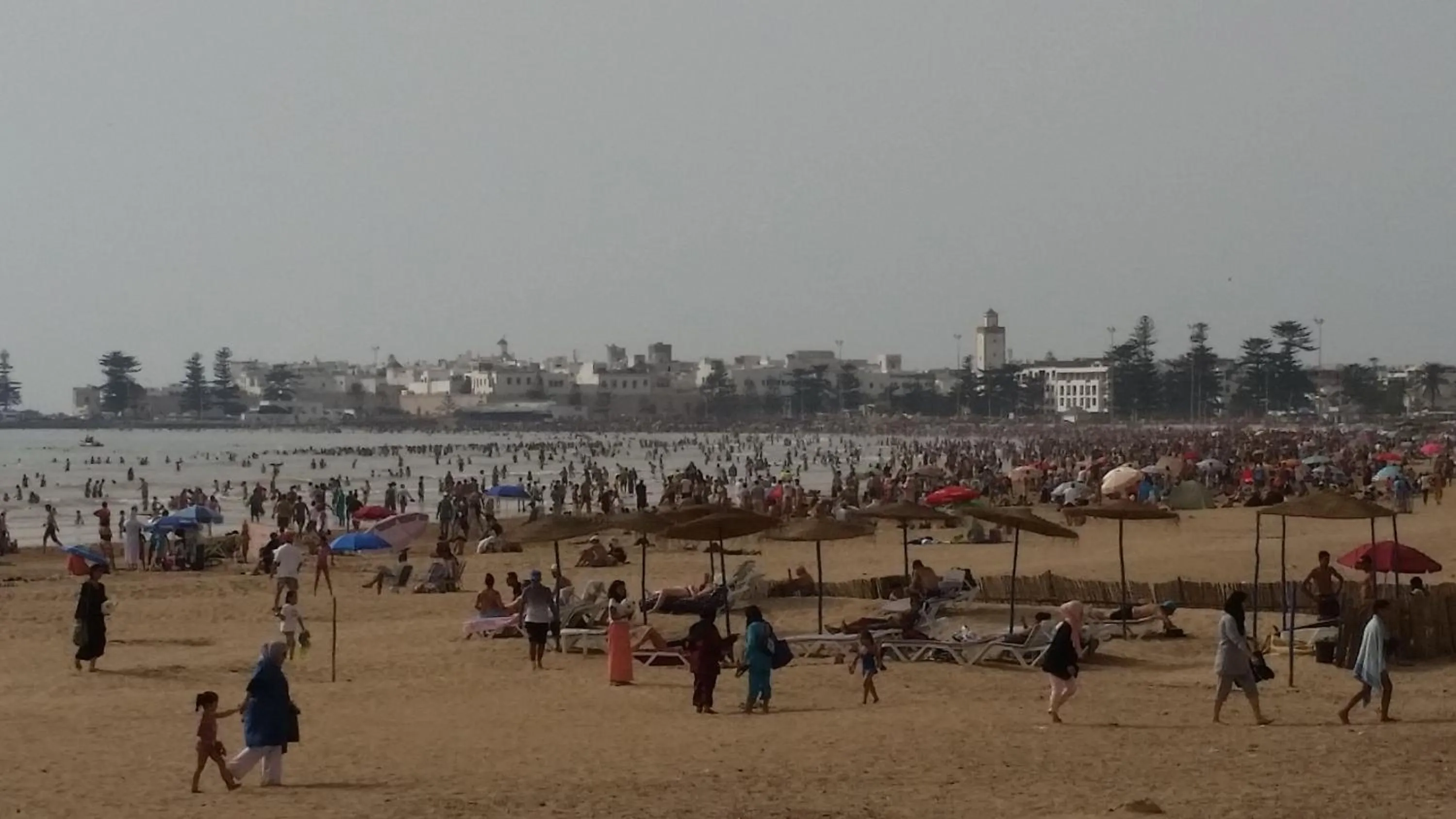 Nearby landmark in Riad Al Zahia