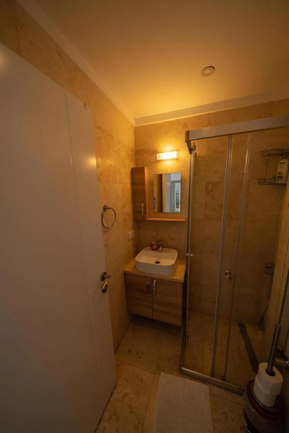 Shower in Ilya Apart 1