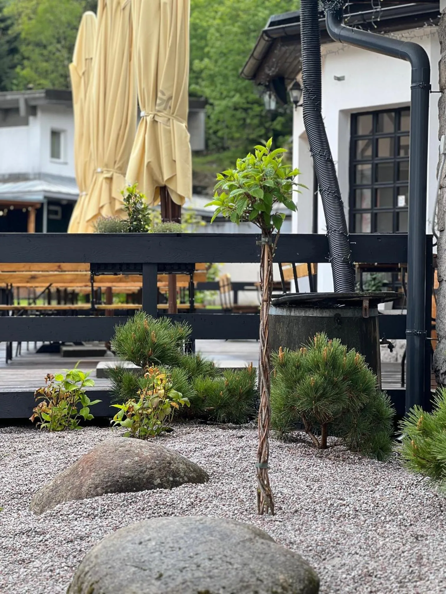 Balcony/Terrace in Hotel Lomnice
