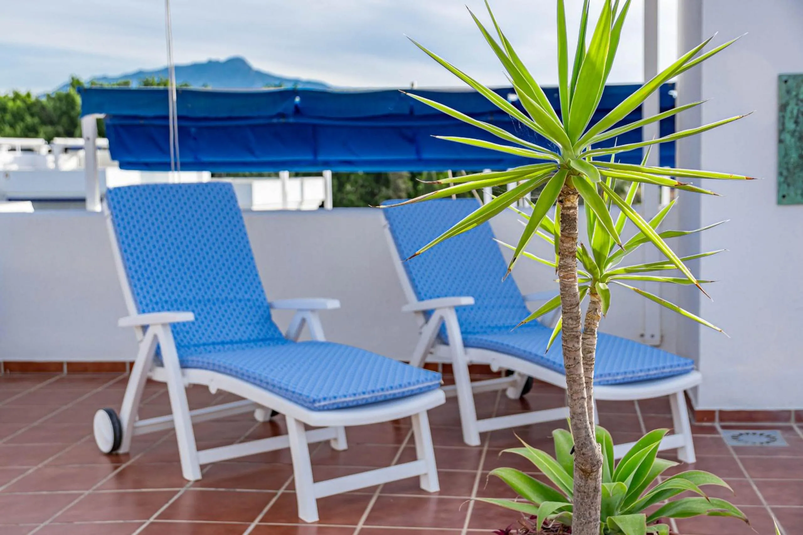 Balcony/Terrace in Andalusian Elegance apartment in El Paraiso with 360 views over Sea and Mountains