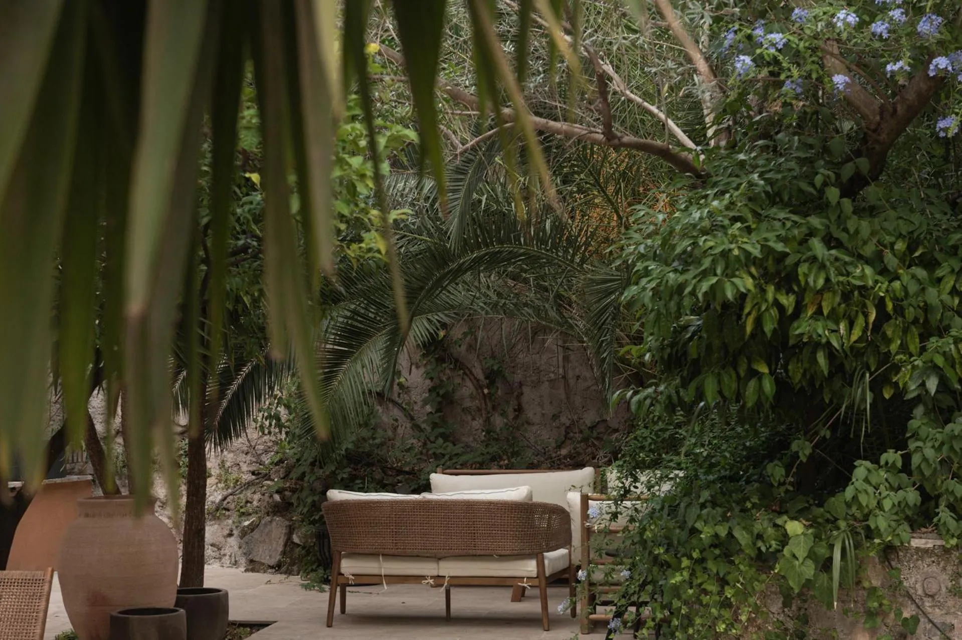 Garden in The Sanctuary Urban Retreat