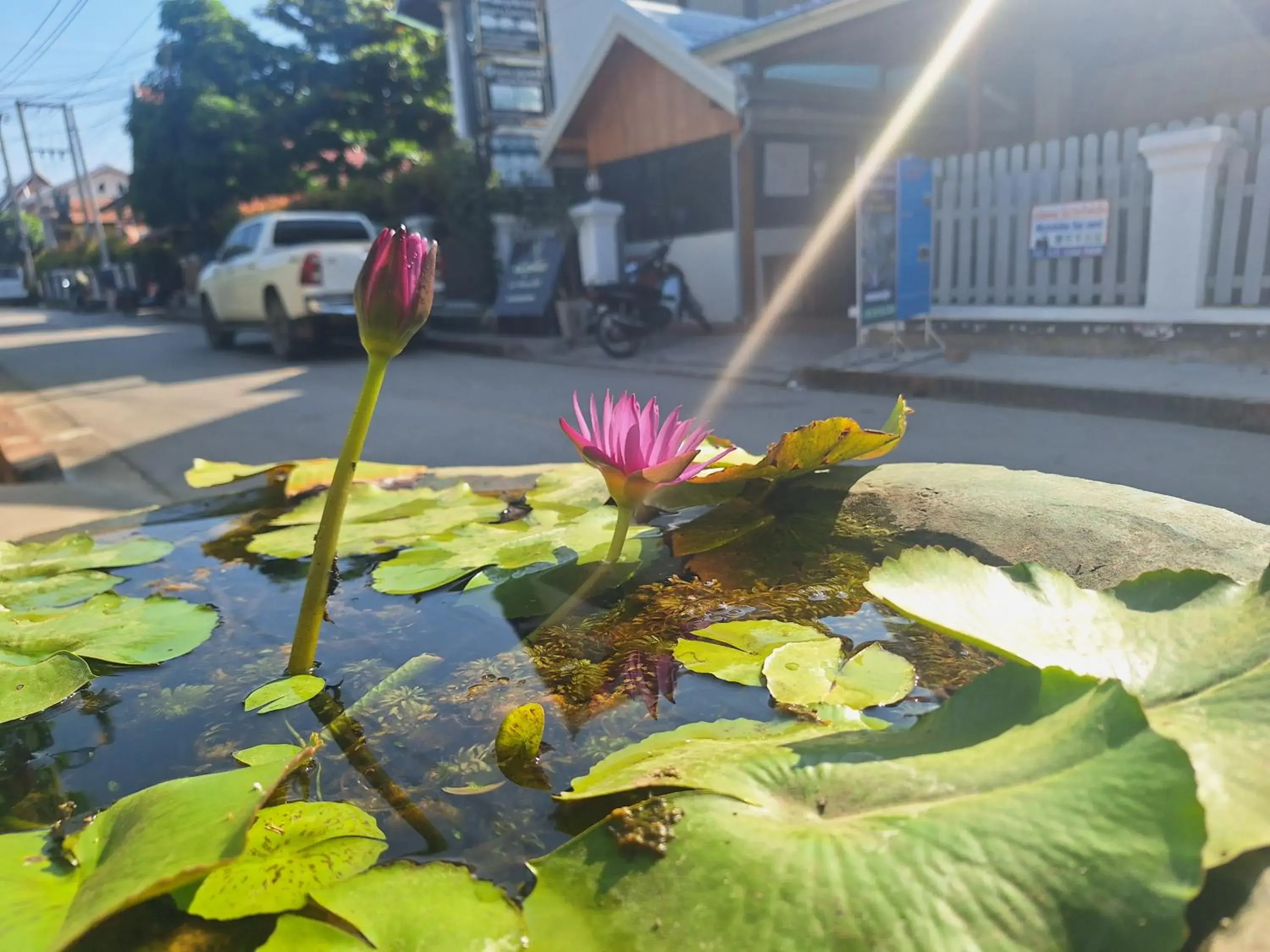 Twin Room with Terrace in Le KhounSok Boutique Hotel Twin Room with Terrace in Le KhounSok Boutique Hotel