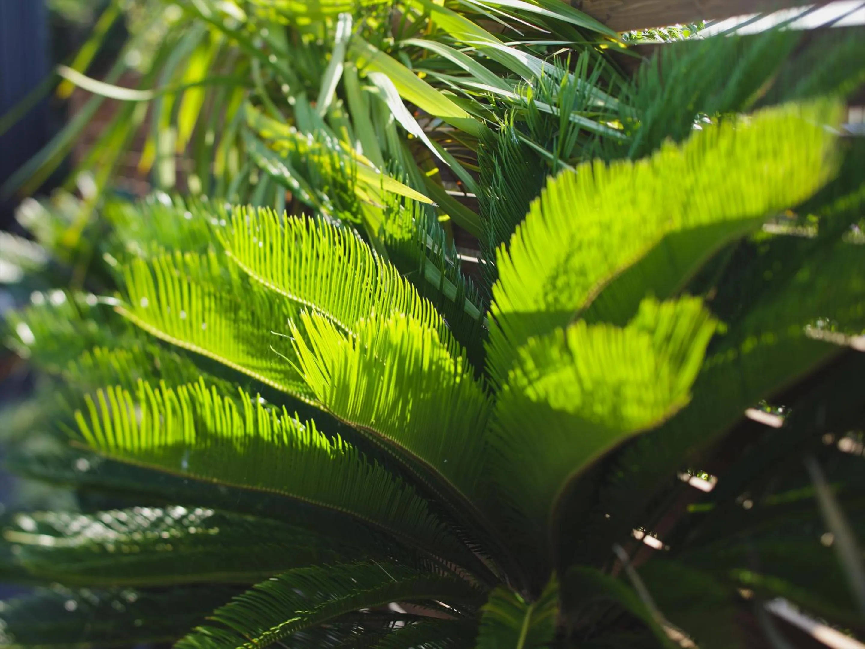 Property building in Seage Torami Coastside